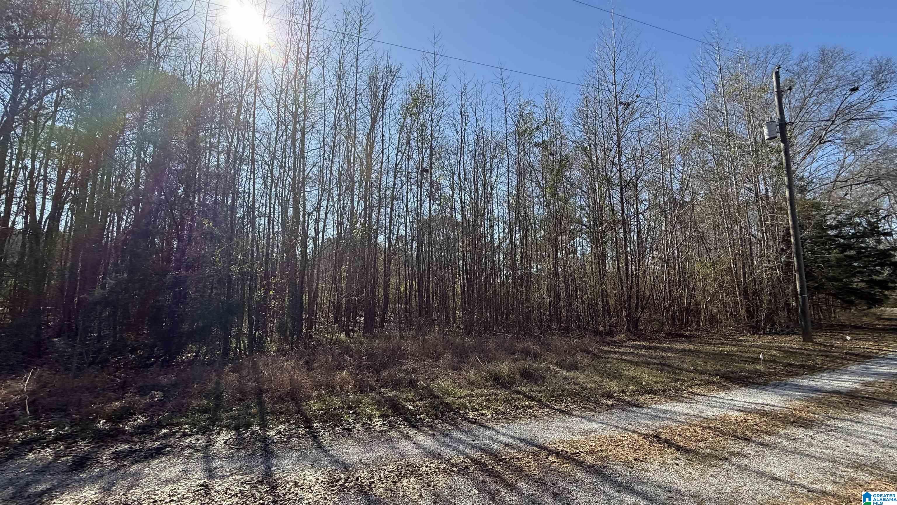 Homes for sale in Calera, AL | County Road 95, Calera, AL 35040 | MLS# 21442104