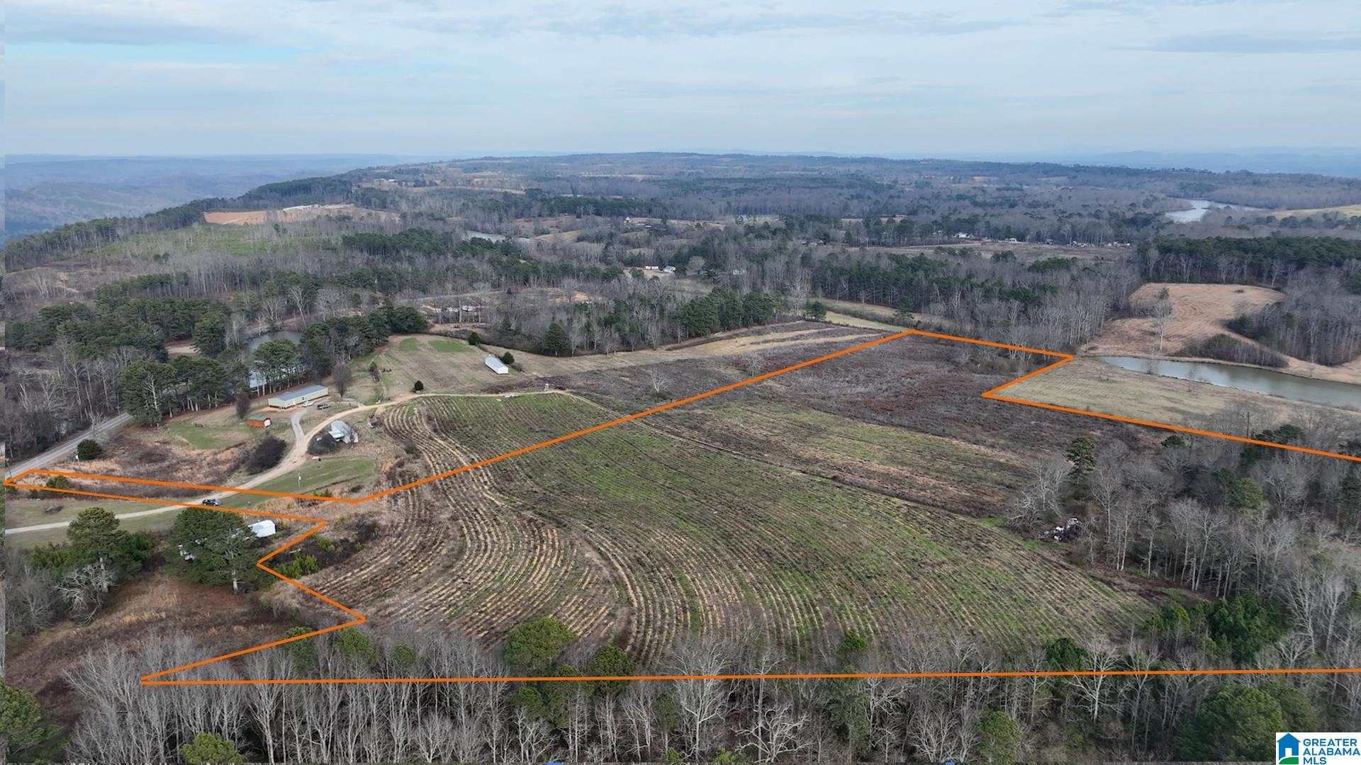 Homes for sale in Steele, AL | 0 County Road 42, Steele, AL 35987 | MLS# 21442134