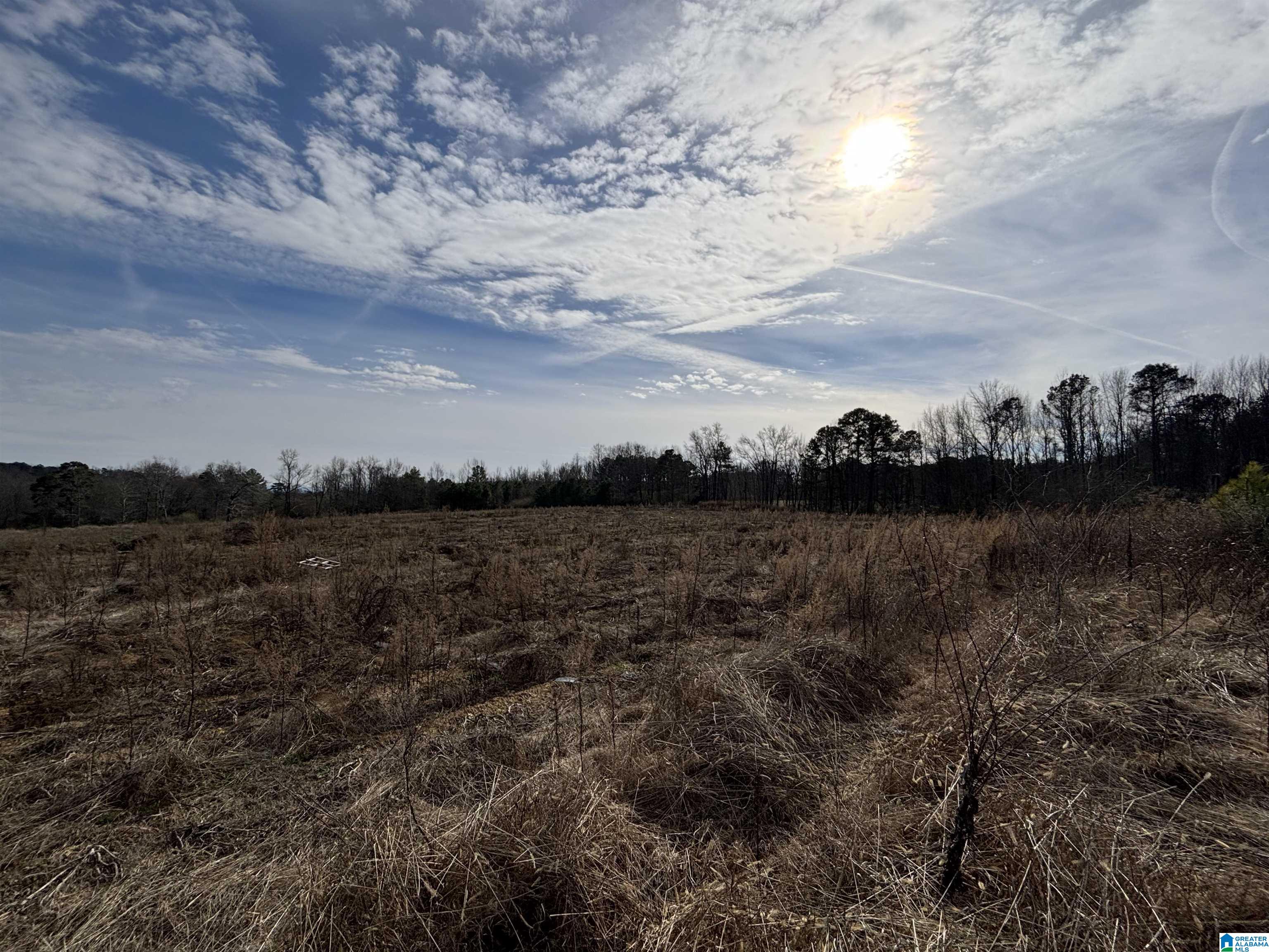 Homes for sale in Steele, AL | 0 County Road 42, Steele, AL 35987 | MLS# 21442134