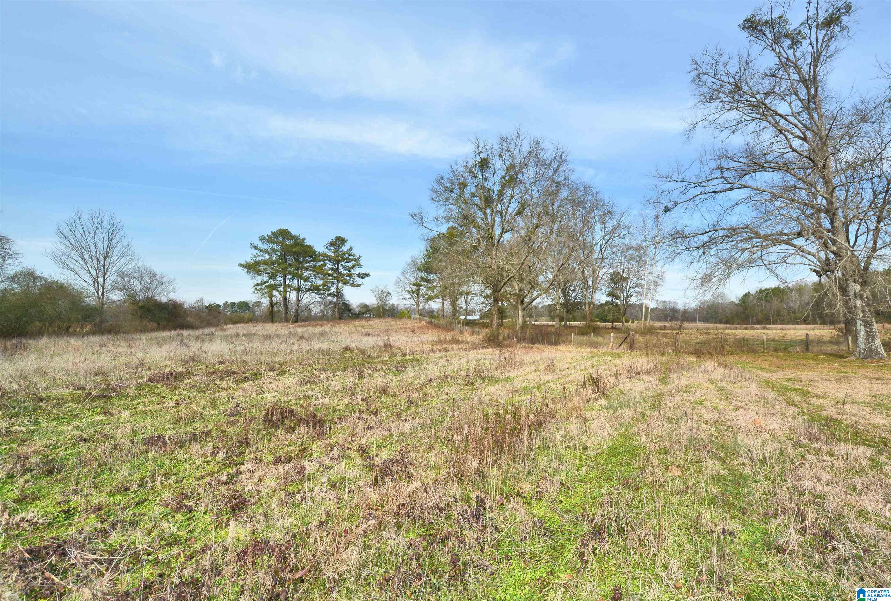 Homes for sale in Harpersville, AL | 104 Burns Lane, Harpersville, AL 35078 | MLS# 21442161