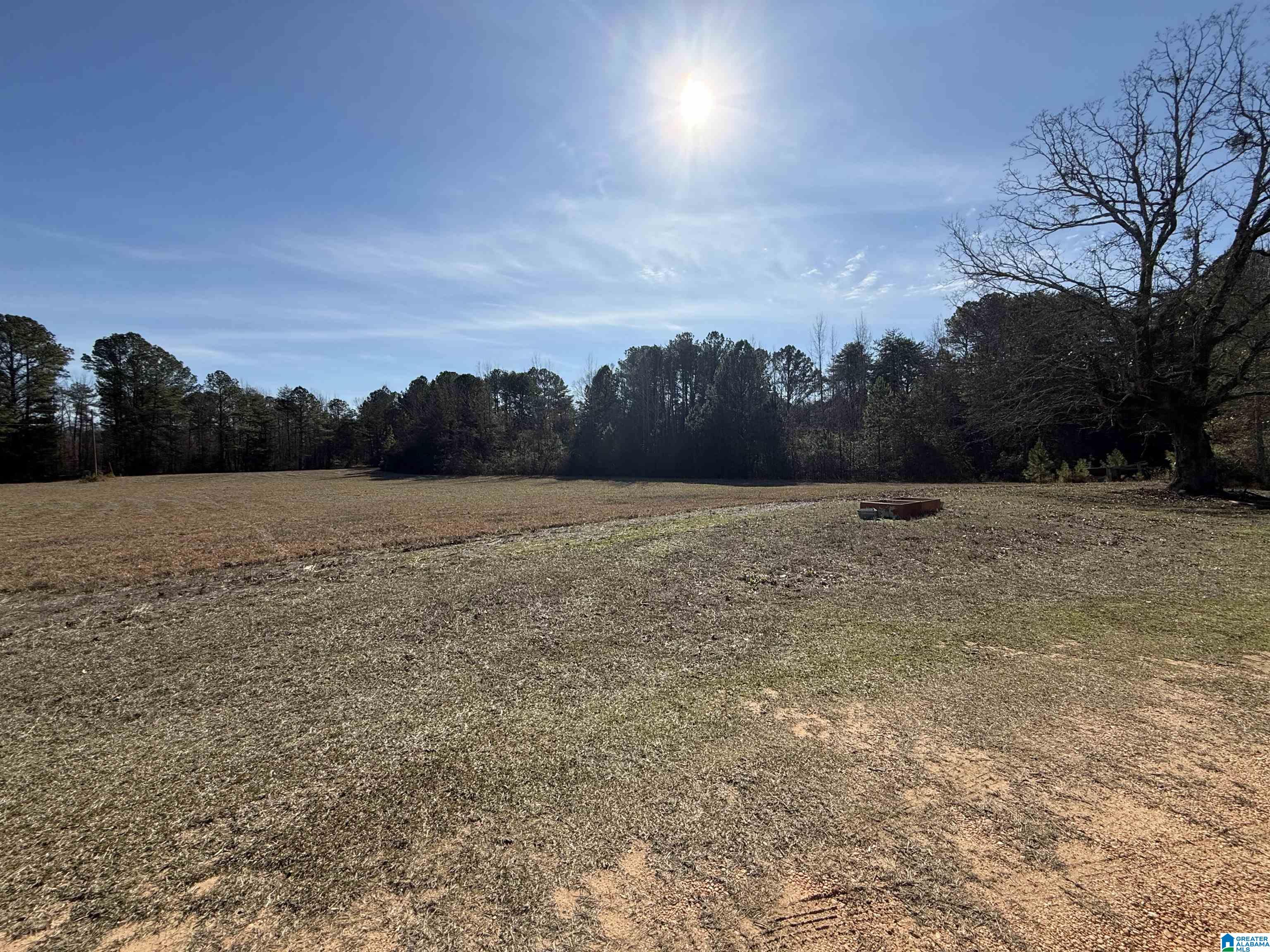 Homes for sale in Brookwood, AL | 16717 Antioch Community Road, Brookwood, AL 35444 | MLS# 21442184