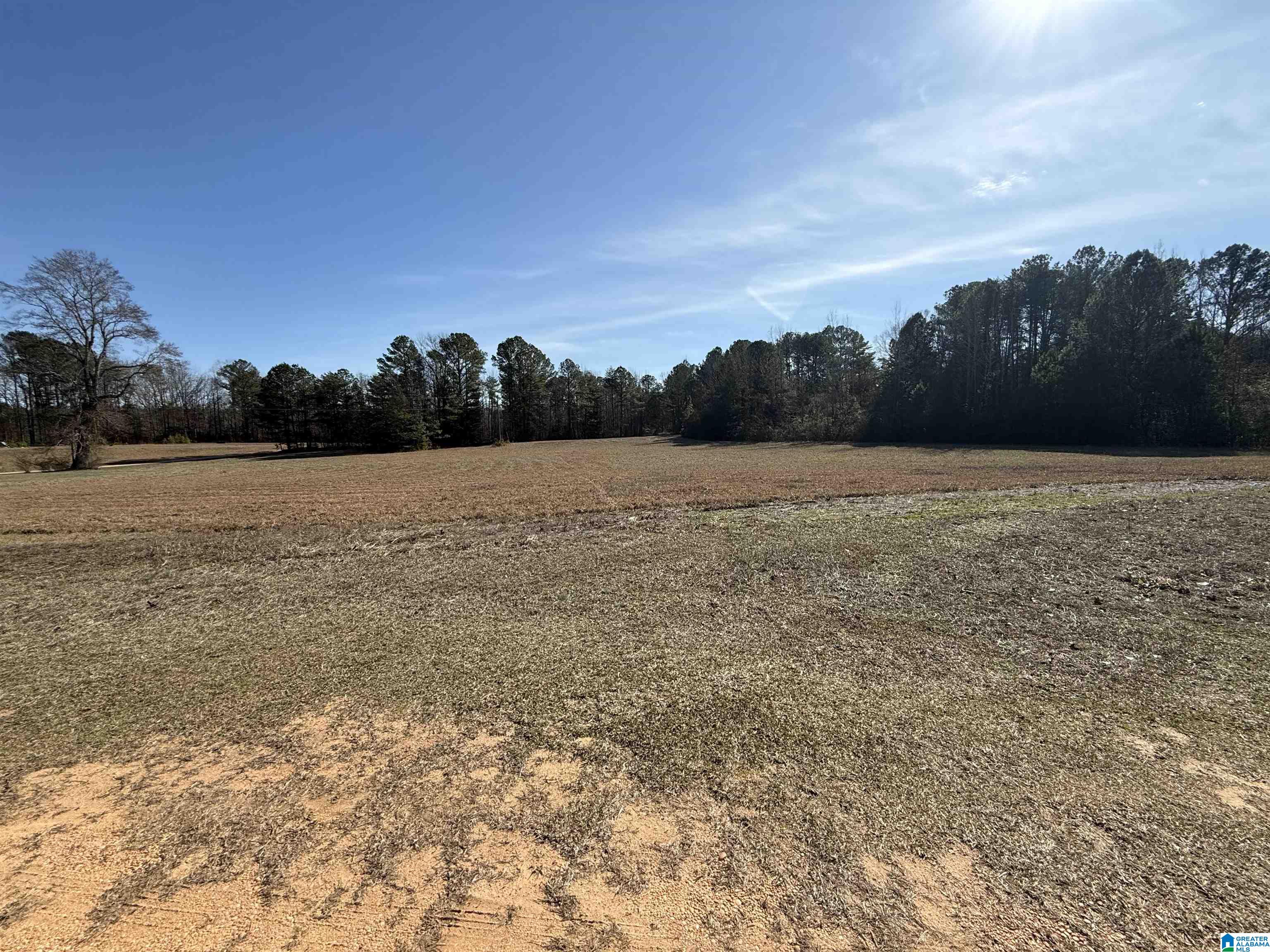 Homes for sale in Brookwood, AL | 16717 Antioch Community Road, Brookwood, AL 35444 | MLS# 21442184