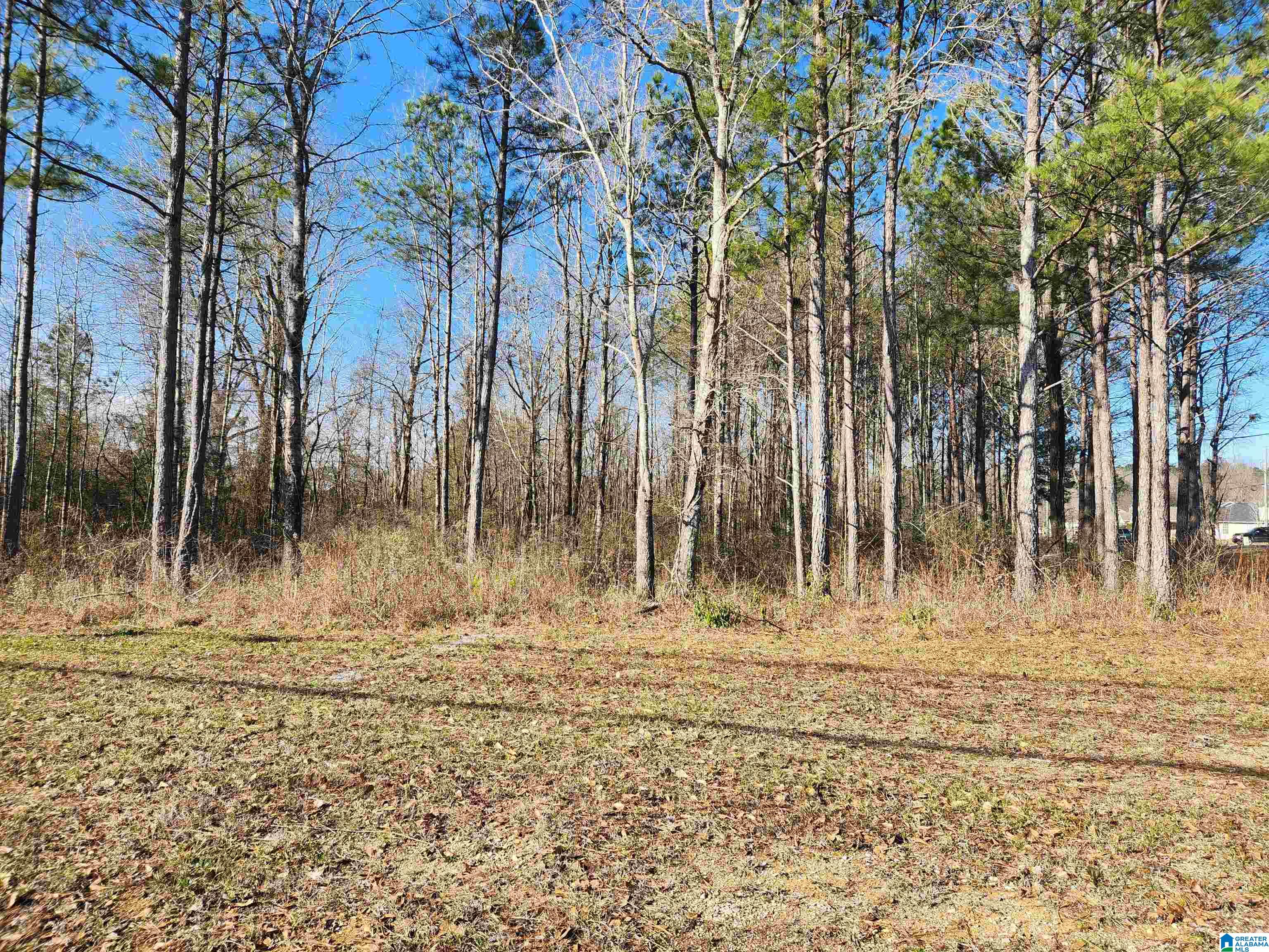 Homes for sale in Calera, AL | 0 Bonnieville Dr, Calera, AL 35040 | MLS# 21442209