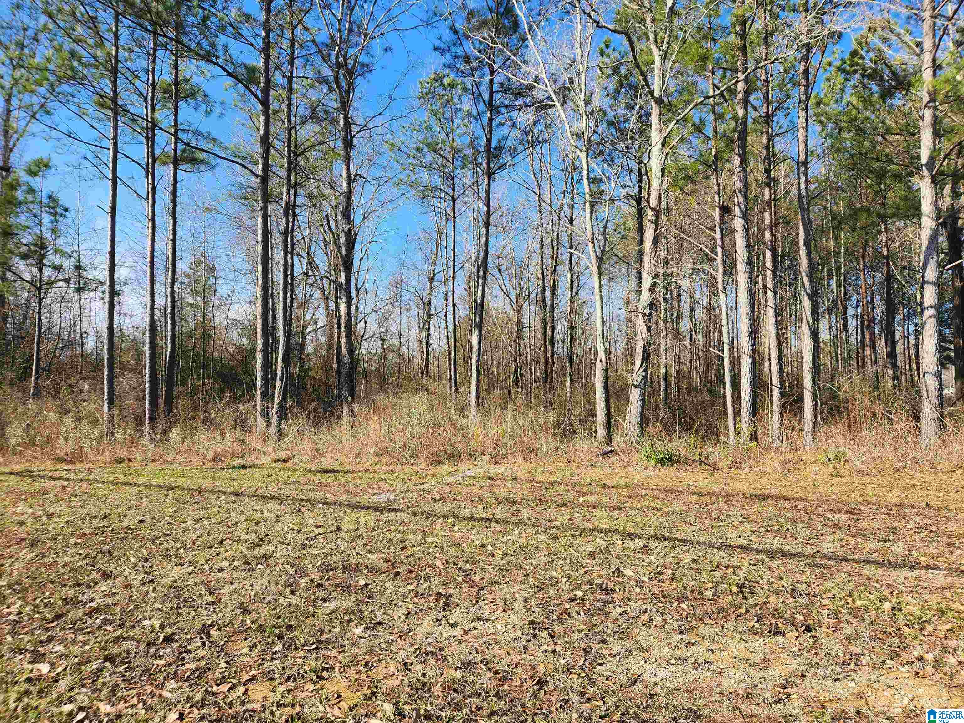 Homes for sale in Calera, AL | 0 Bonnieville Dr, Calera, AL 35040 | MLS# 21442209