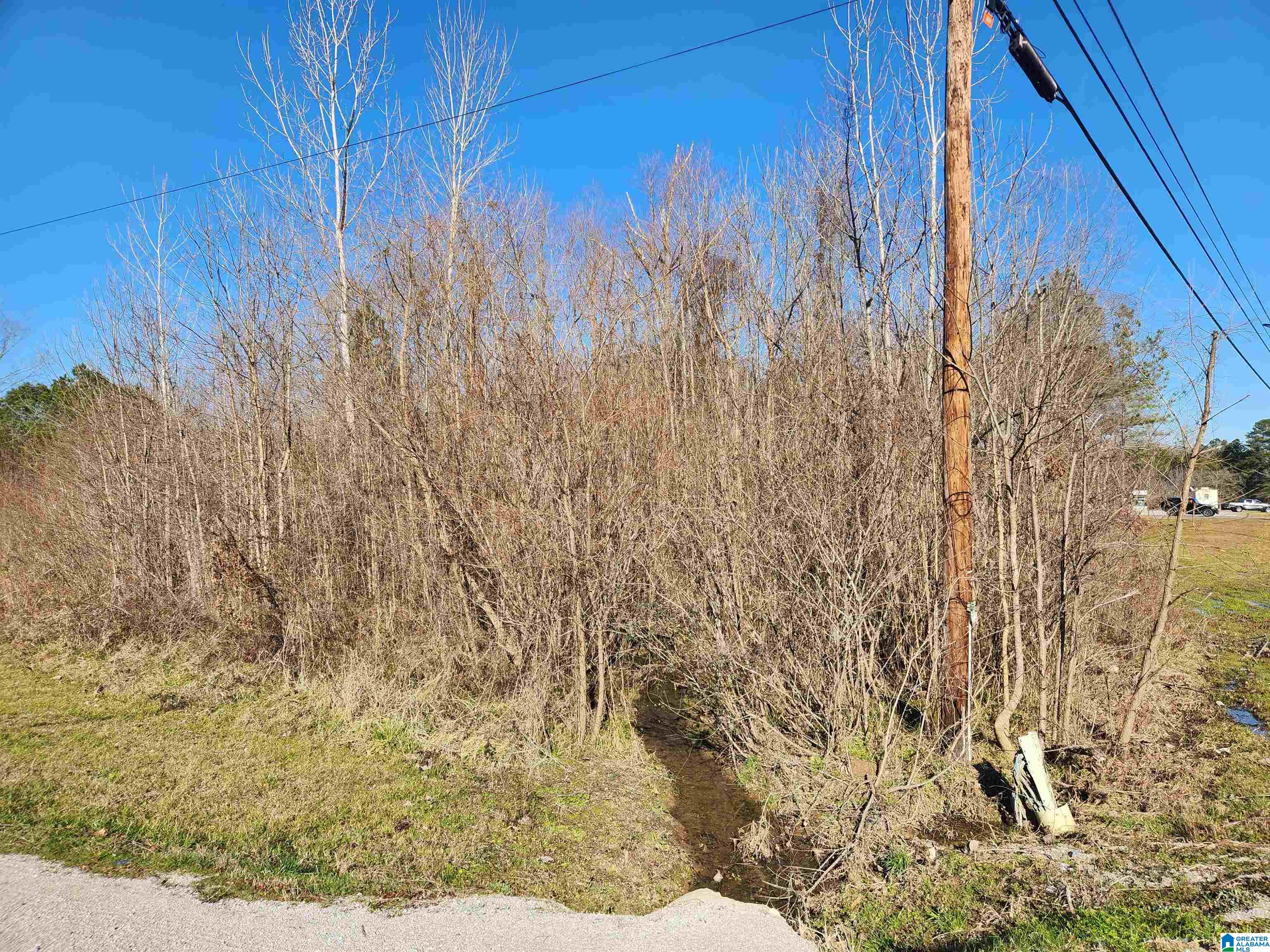 Homes for sale in Calera, AL | 0 Bonnieville Dr, Calera, AL 35040 | MLS# 21442209