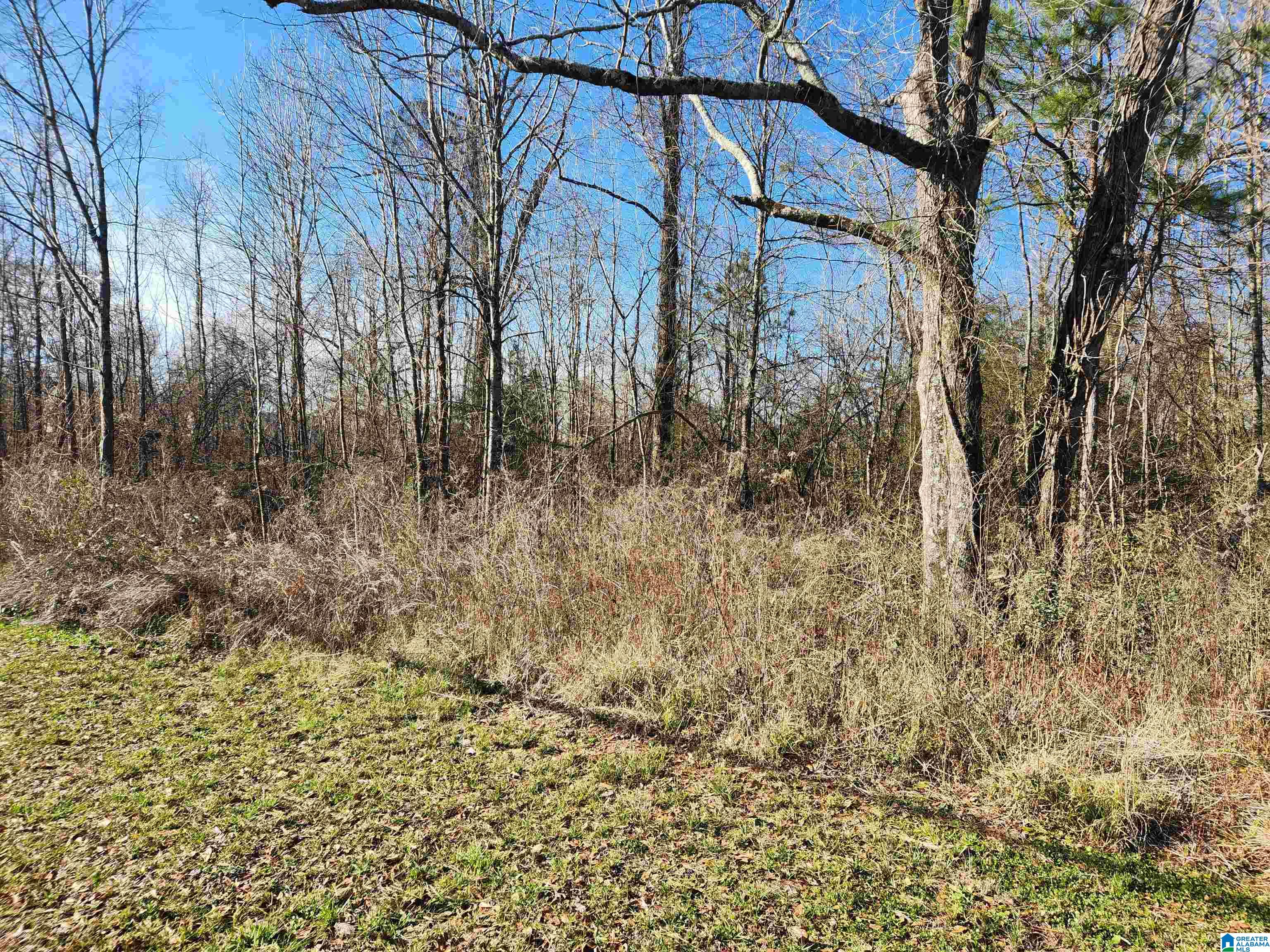 Homes for sale in Calera, AL | 0 Bonnieville Dr, Calera, AL 35040 | MLS# 21442209