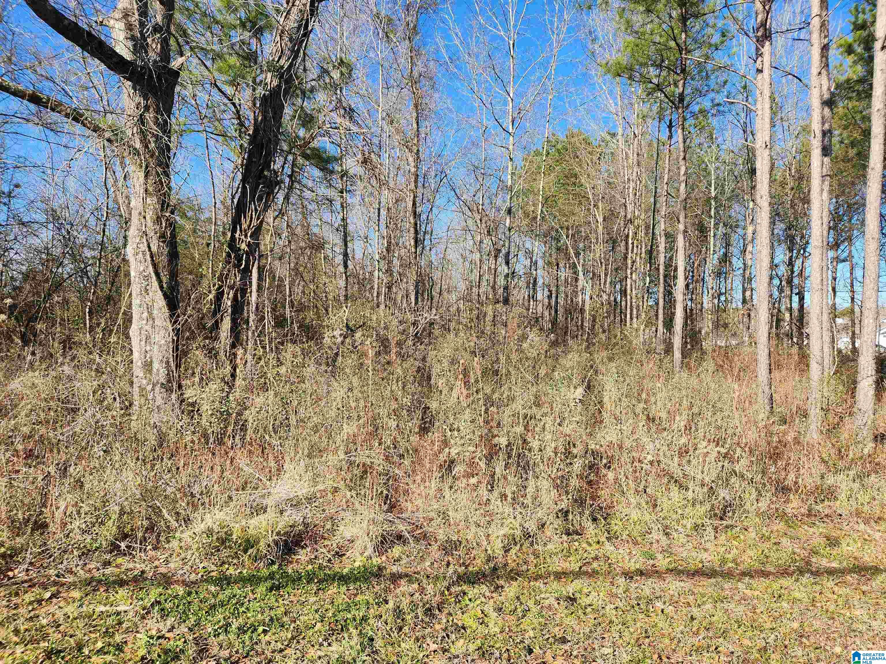 Homes for sale in Calera, AL | 0 Bonnieville Dr, Calera, AL 35040 | MLS# 21442209