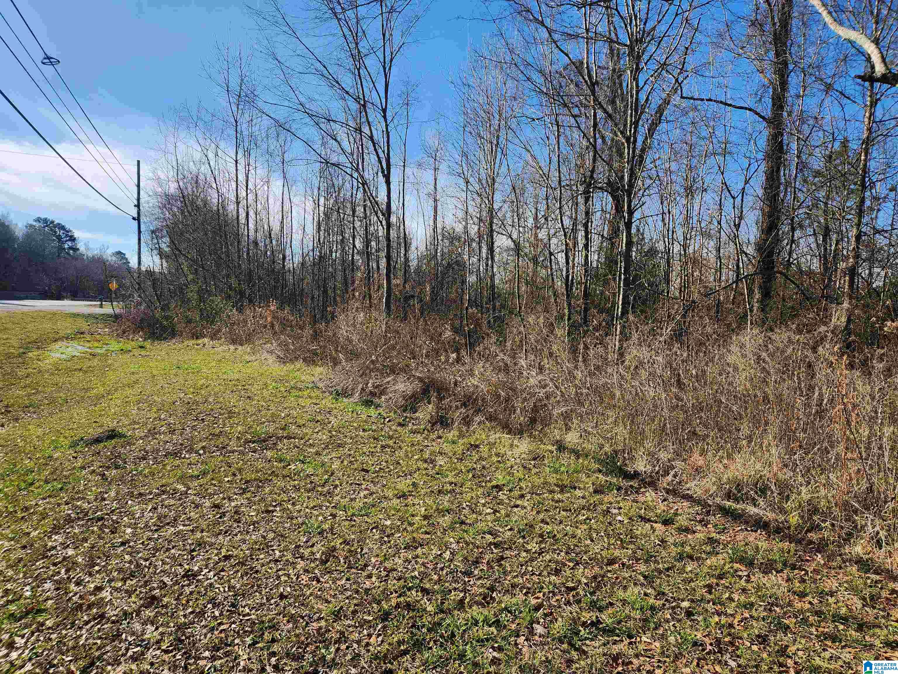 Homes for sale in Calera, AL | 0 Bonnieville Dr, Calera, AL 35040 | MLS# 21442209