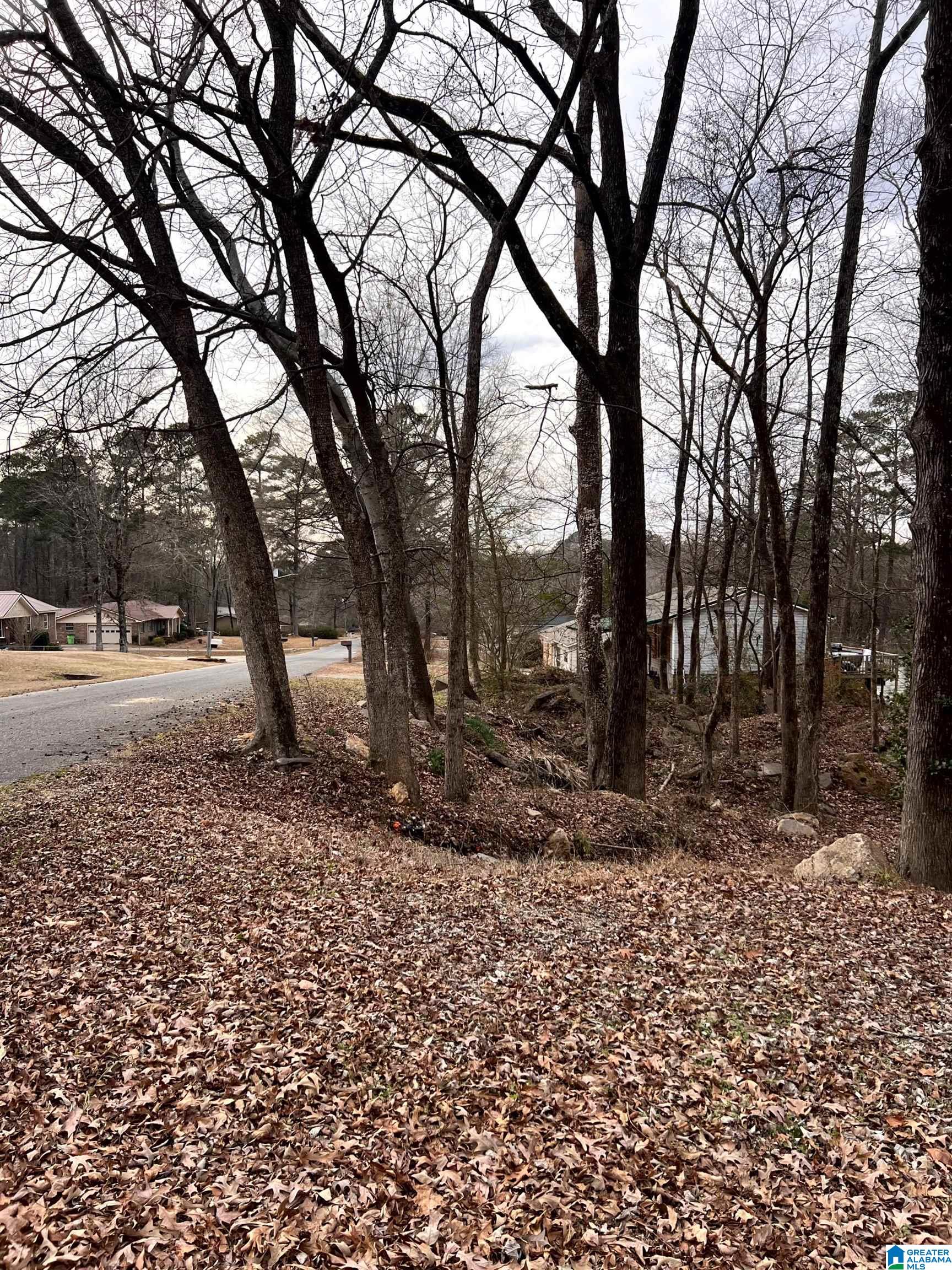 Homes for sale in Leeds, AL | 2237 Lisa Ann Dr Se, Leeds, AL 35094 | MLS# 21442211