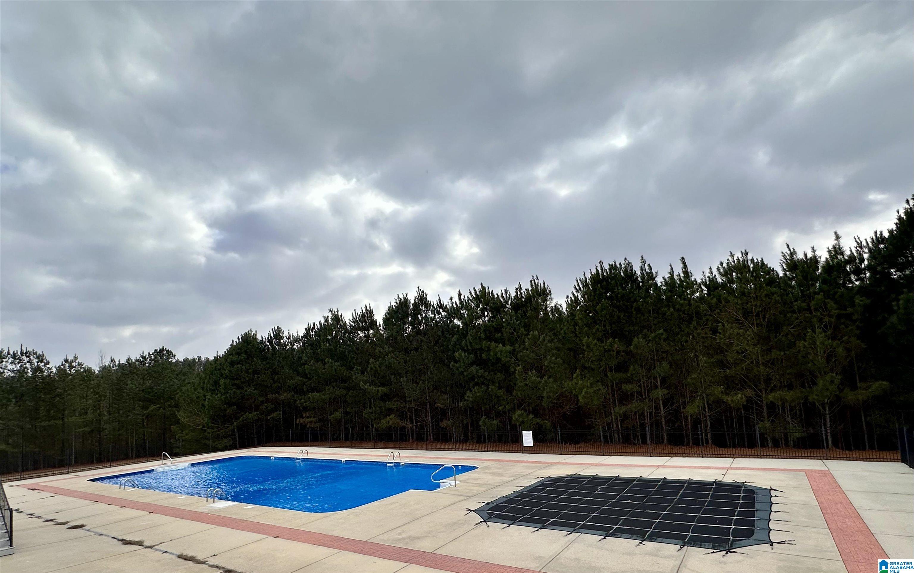 Homes for sale in Springville, AL | 321 Blackberry Boulevard, Springville, AL 35146 | MLS# 21442233