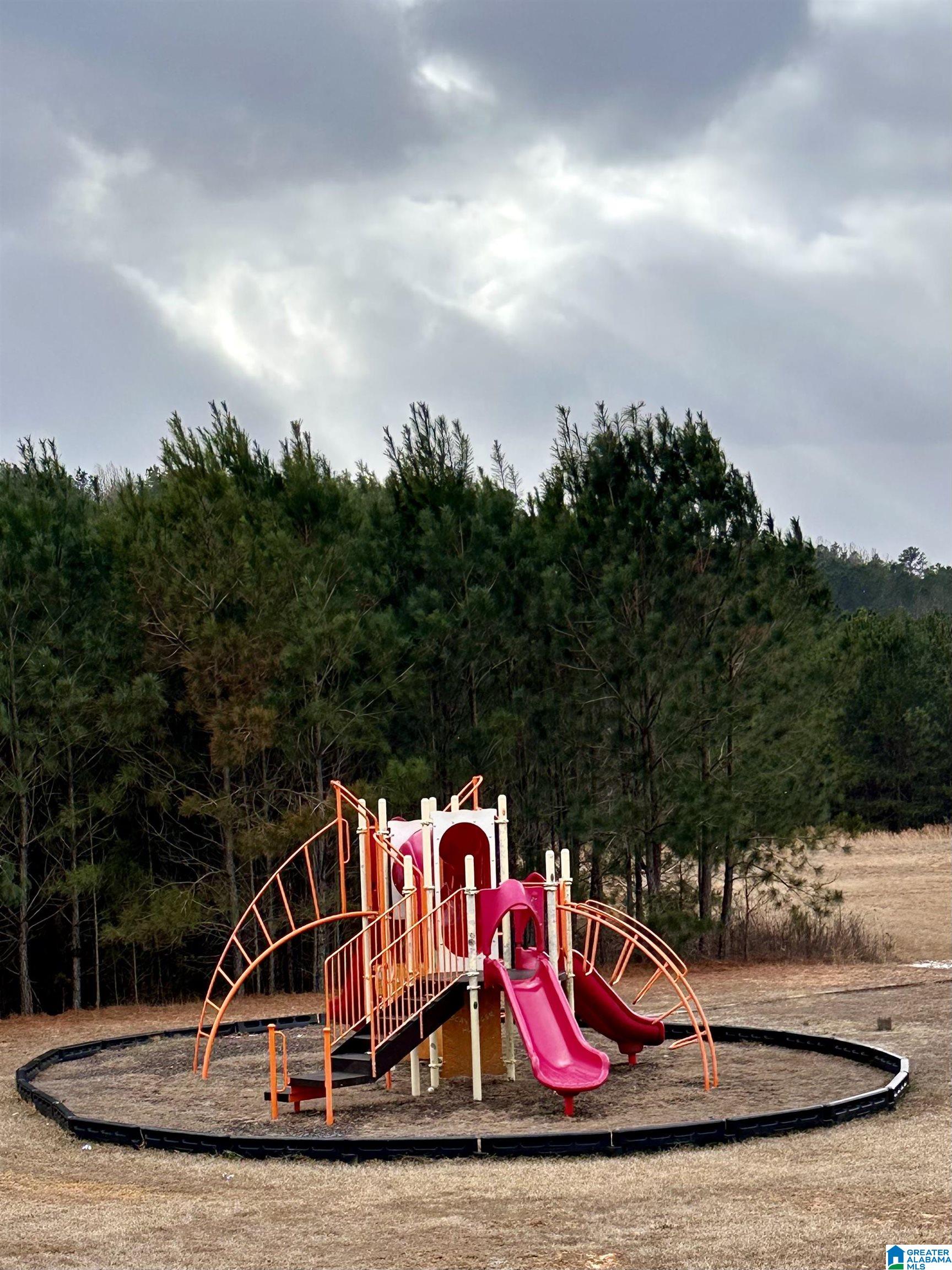 Homes for sale in Springville, AL | 321 Blackberry Boulevard, Springville, AL 35146 | MLS# 21442233