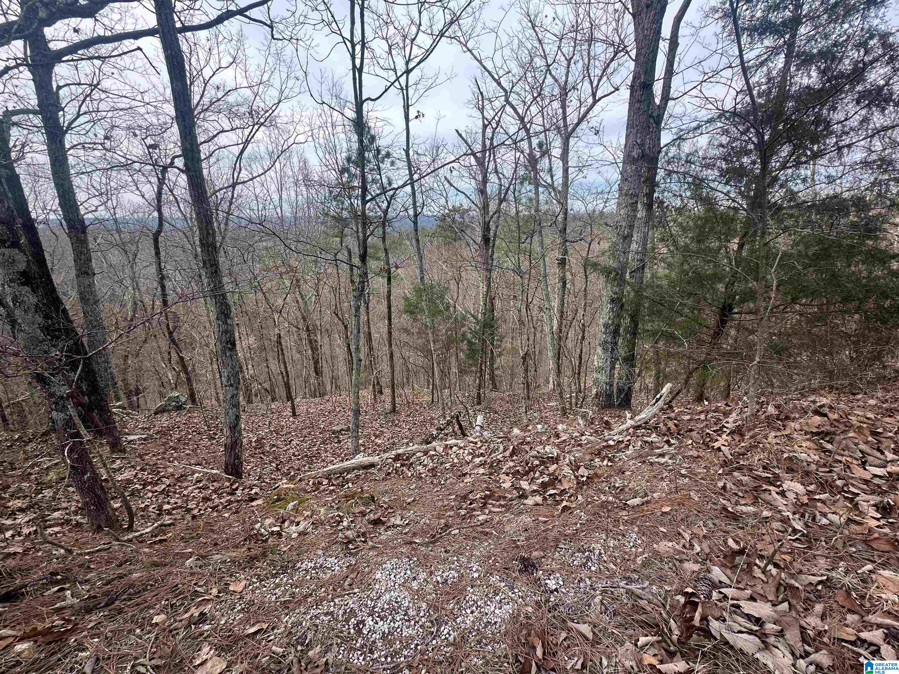 Homes for sale in Warrior, AL | 0 Long Leaf Trail, Warrior, AL 35180 | MLS# 21442241