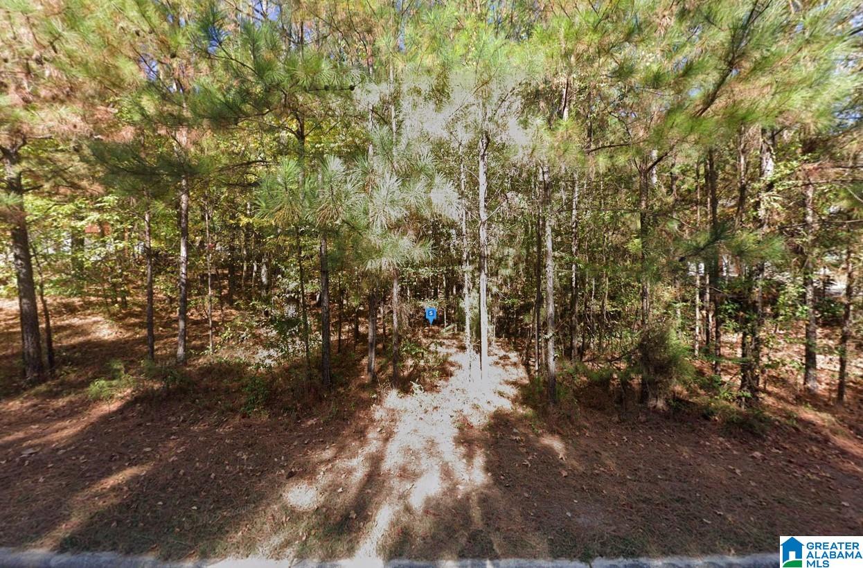 Homes for sale in Pelham, AL | 405 Weatherly Club Dr, Pelham, AL 35124 | MLS# 21442284