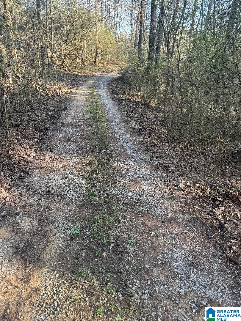 Homes for sale in Dora, AL | 4731 Palos Road, Dora, AL 35130 | MLS# 21442322