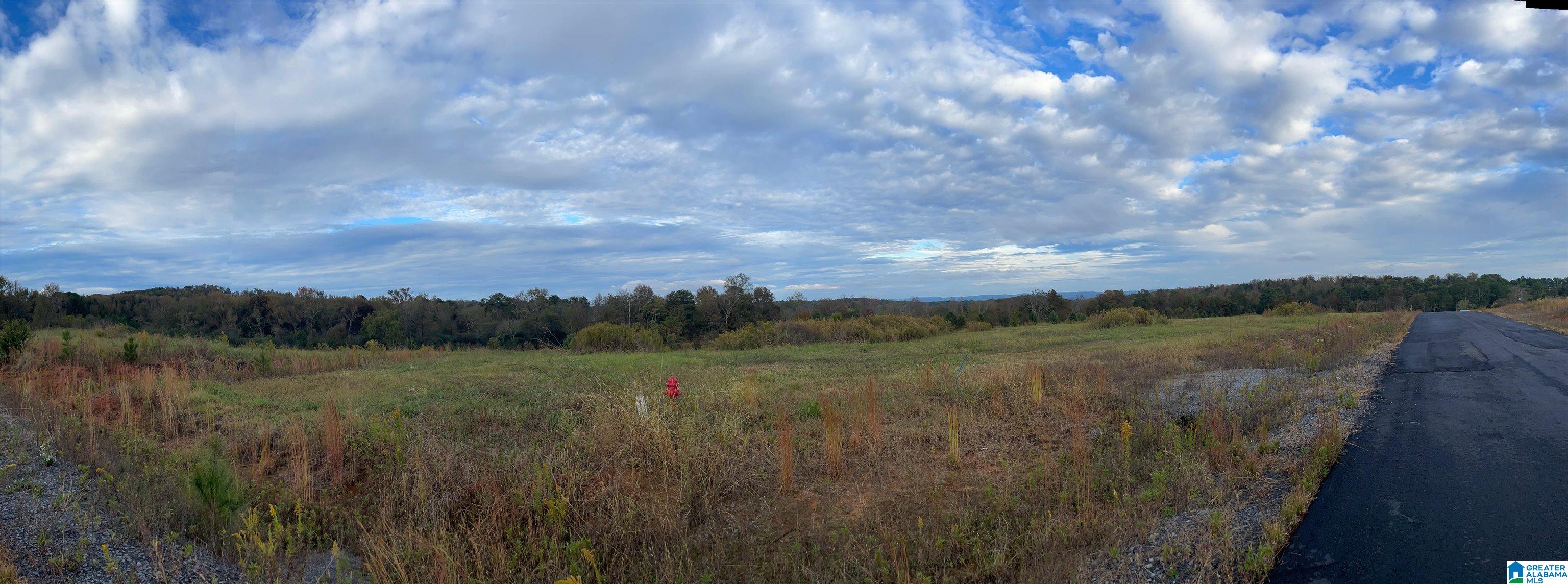 Homes for sale in Hayden, AL | 0 Payton Dr, Lo Cades Cove Road, Hayden, AL 35079 | MLS# 21442343