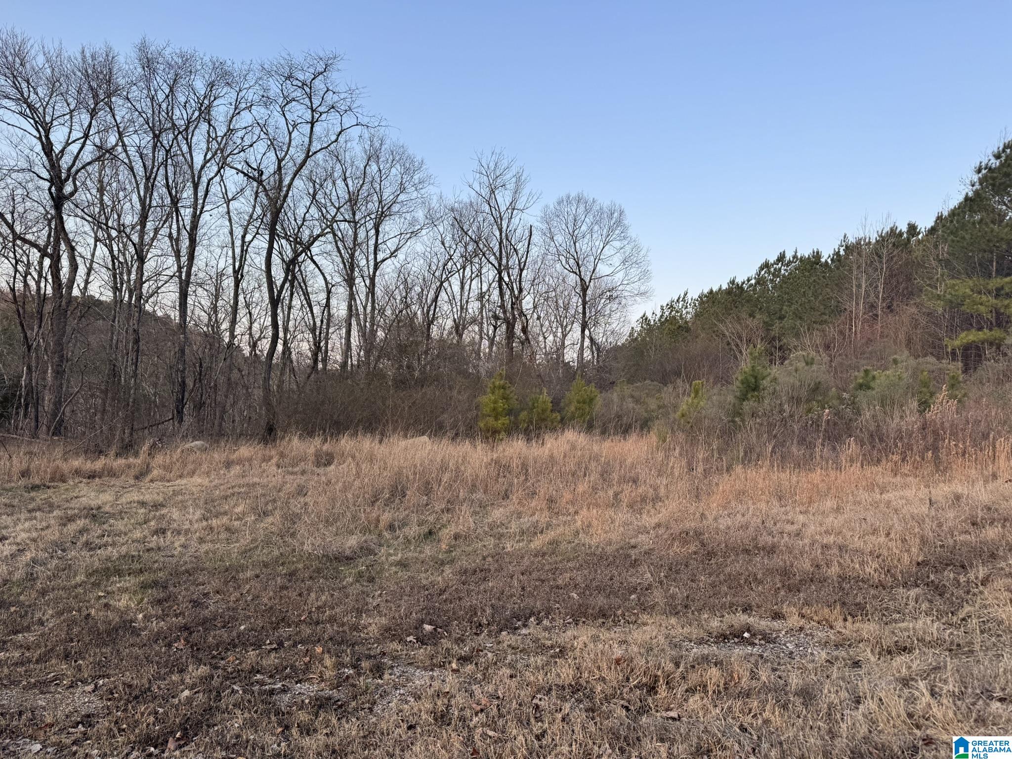 Homes for sale in Quinton, AL | 868 Hoover Road, Quinton, AL 35130 | MLS# 21442348