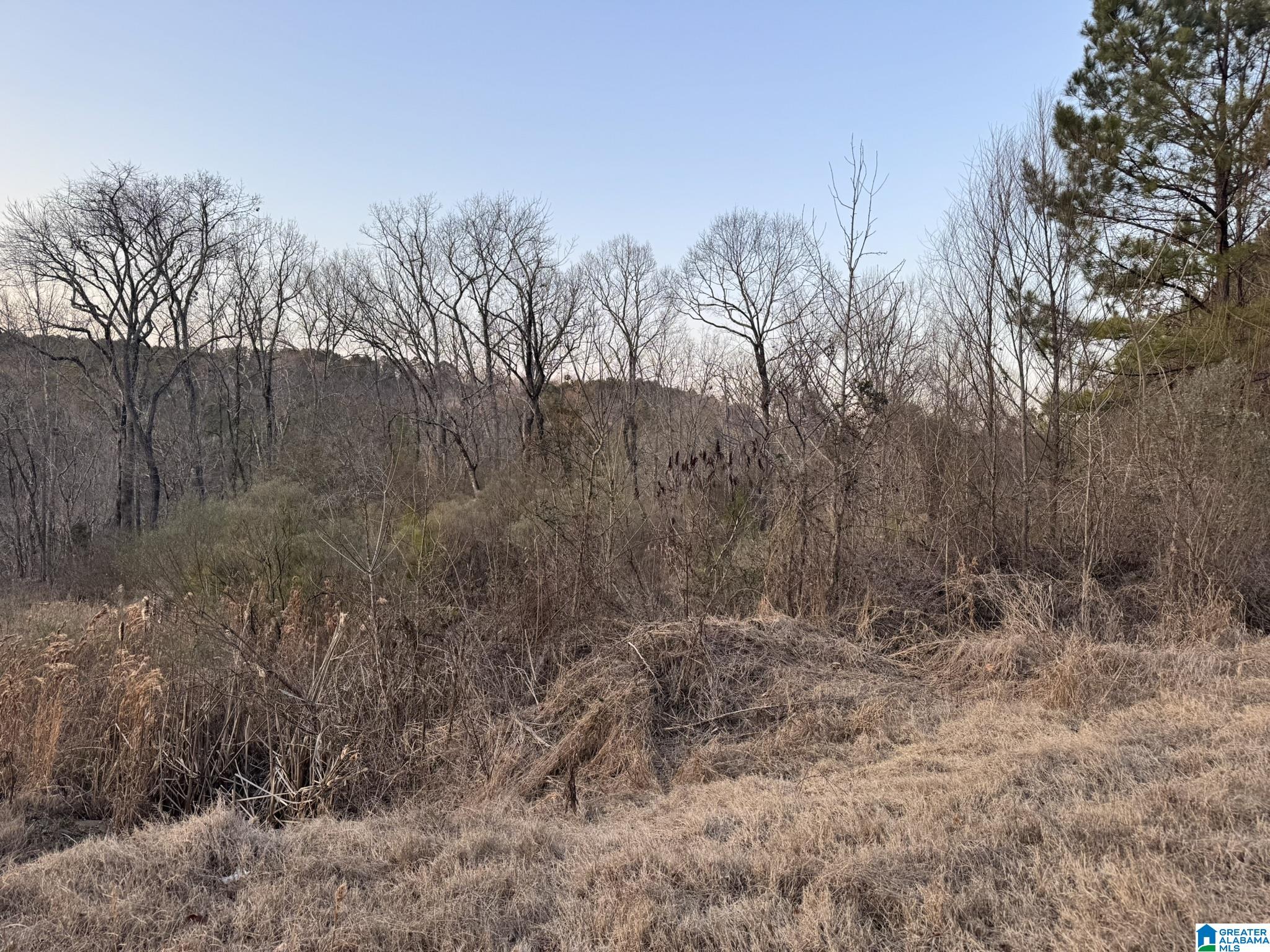 Homes for sale in Quinton, AL | 868 Hoover Road, Quinton, AL 35130 | MLS# 21442348