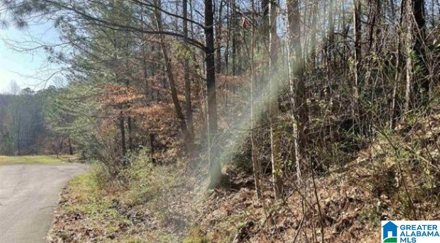 Homes for sale in Mc Calla, AL | 5010 Creek Bluff, Mc Calla, AL 35111 | MLS# 21442376