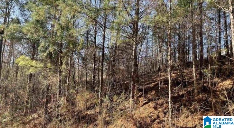 Homes for sale in Mc Calla, AL | 5010 Creek Bluff, Mc Calla, AL 35111 | MLS# 21442376