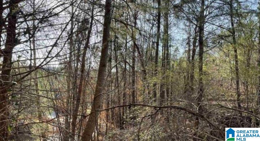 Homes for sale in Mc Calla, AL | 5010 Creek Bluff, Mc Calla, AL 35111 | MLS# 21442376