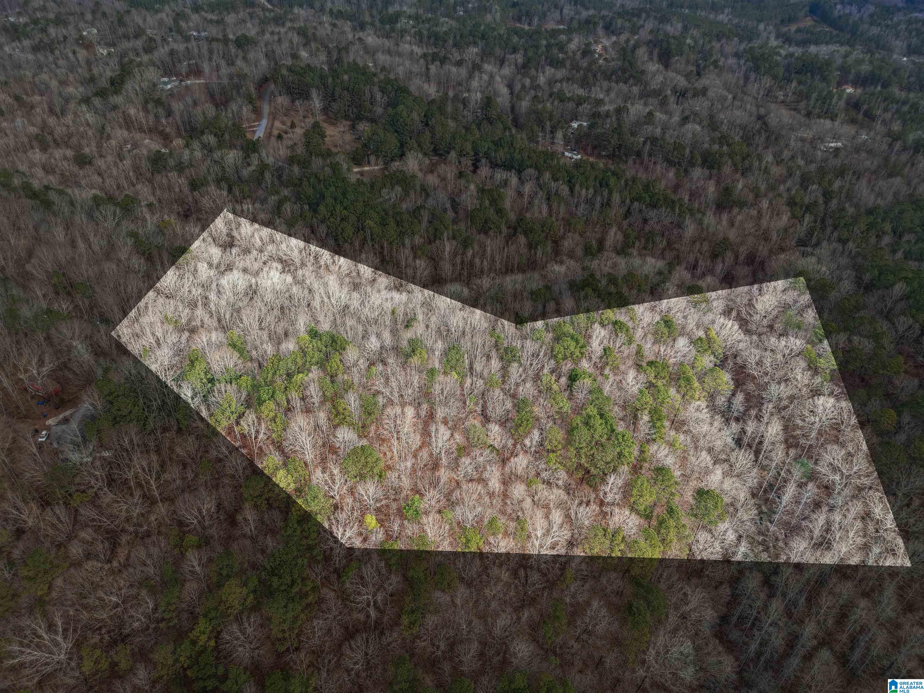 Homes for sale in Pell City, AL | 000 Hillview Dr, Pell City, AL 35125 | MLS# 21442411