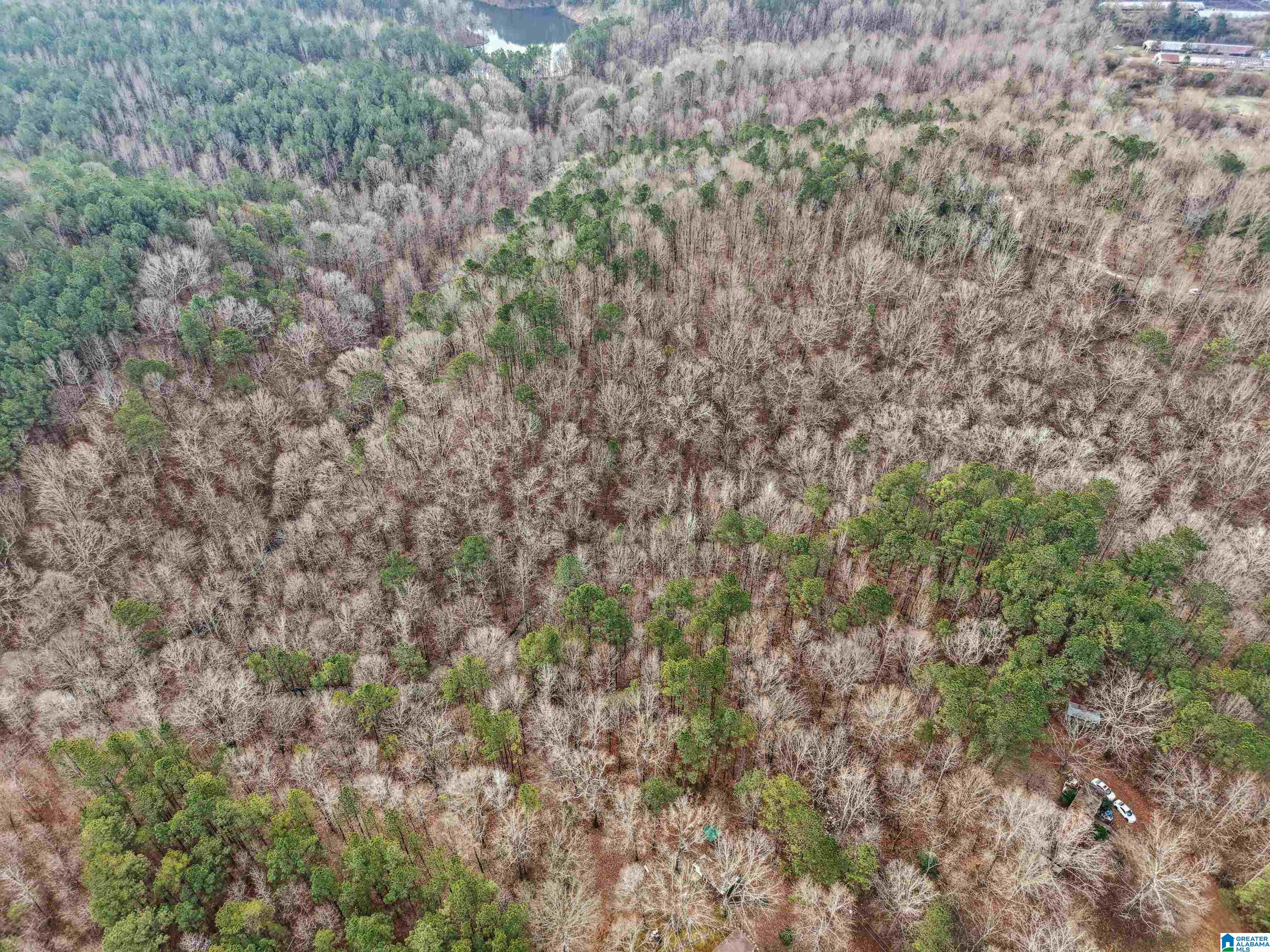 Homes for sale in Pell City, AL | 000 Hillview Dr, Pell City, AL 35125 | MLS# 21442411