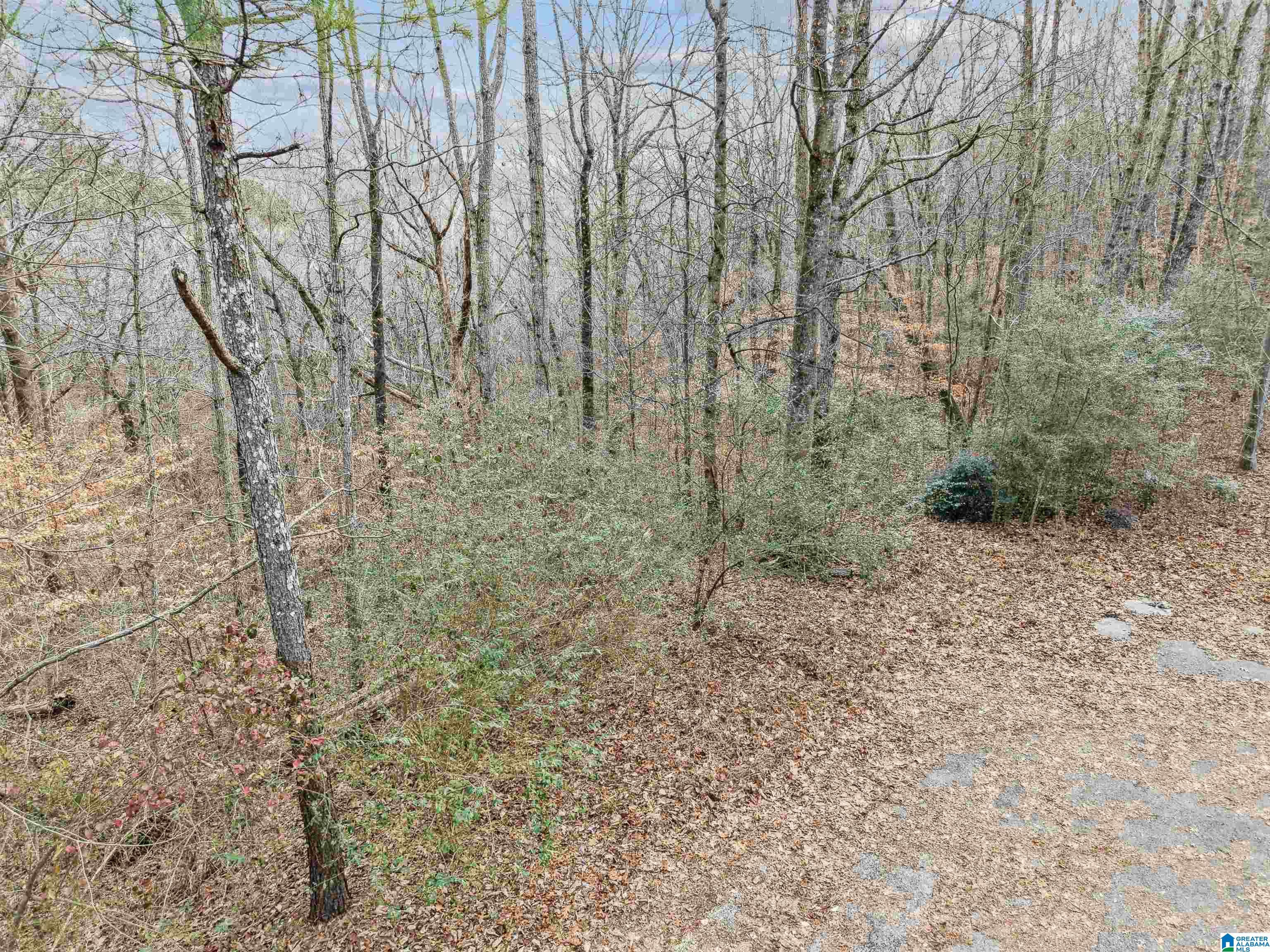 Homes for sale in Pell City, AL | 000 Hillview Dr, Pell City, AL 35125 | MLS# 21442411