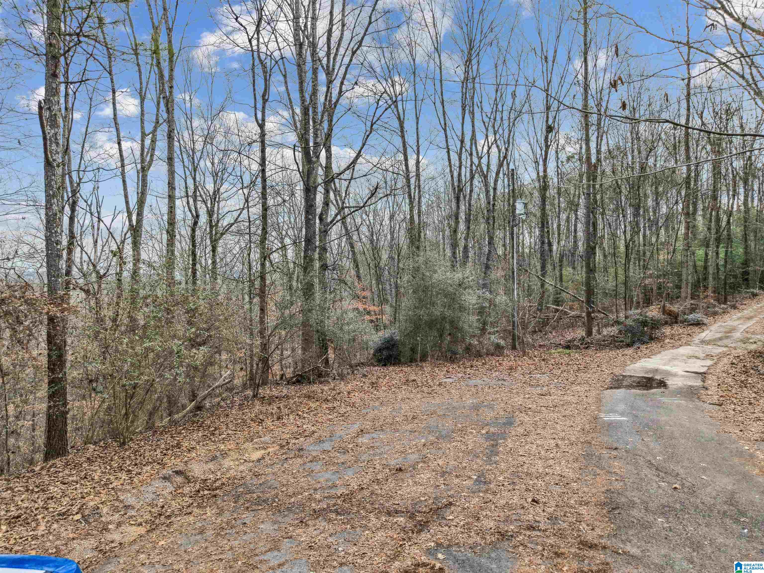 Homes for sale in Pell City, AL | 000 Hillview Dr, Pell City, AL 35125 | MLS# 21442411