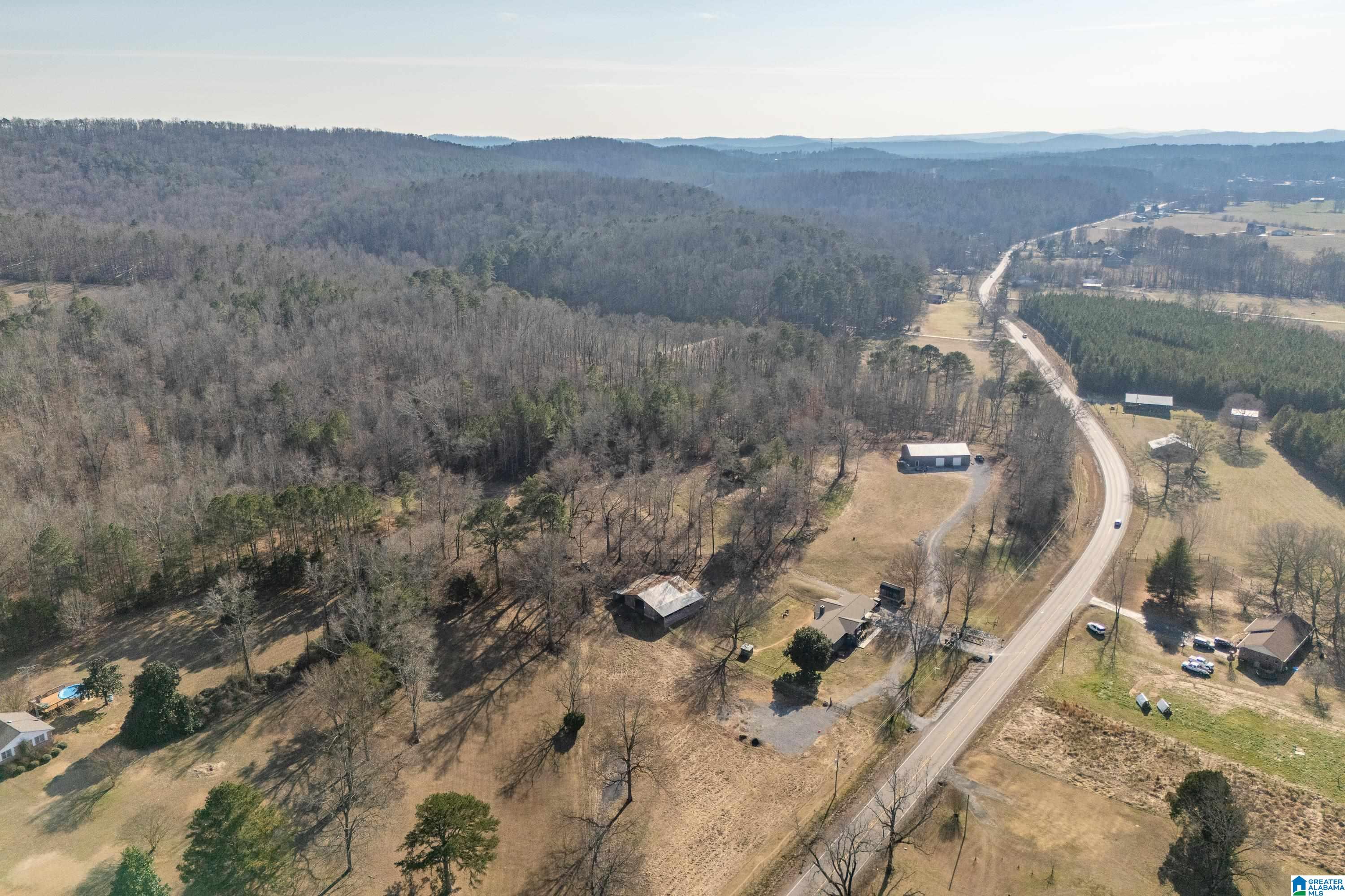 Homes for sale in Ashville, AL | 32960 Us Hwy 411, Ashville, AL 35953 | MLS# 21442428