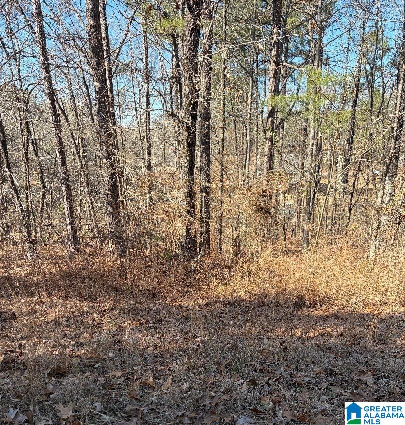 1st image of Delmar Dr, Mccalla, AL 35111 | MLS# 21442447