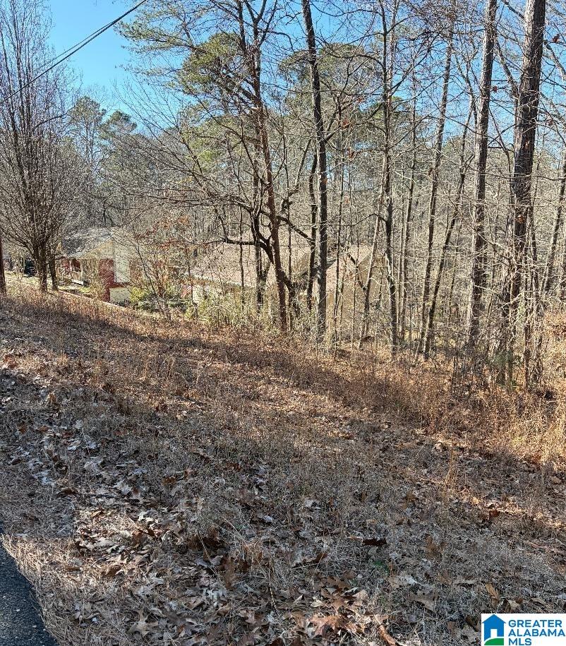 2nd image of Delmar Dr, Mccalla, AL 35111 | MLS# 21442447