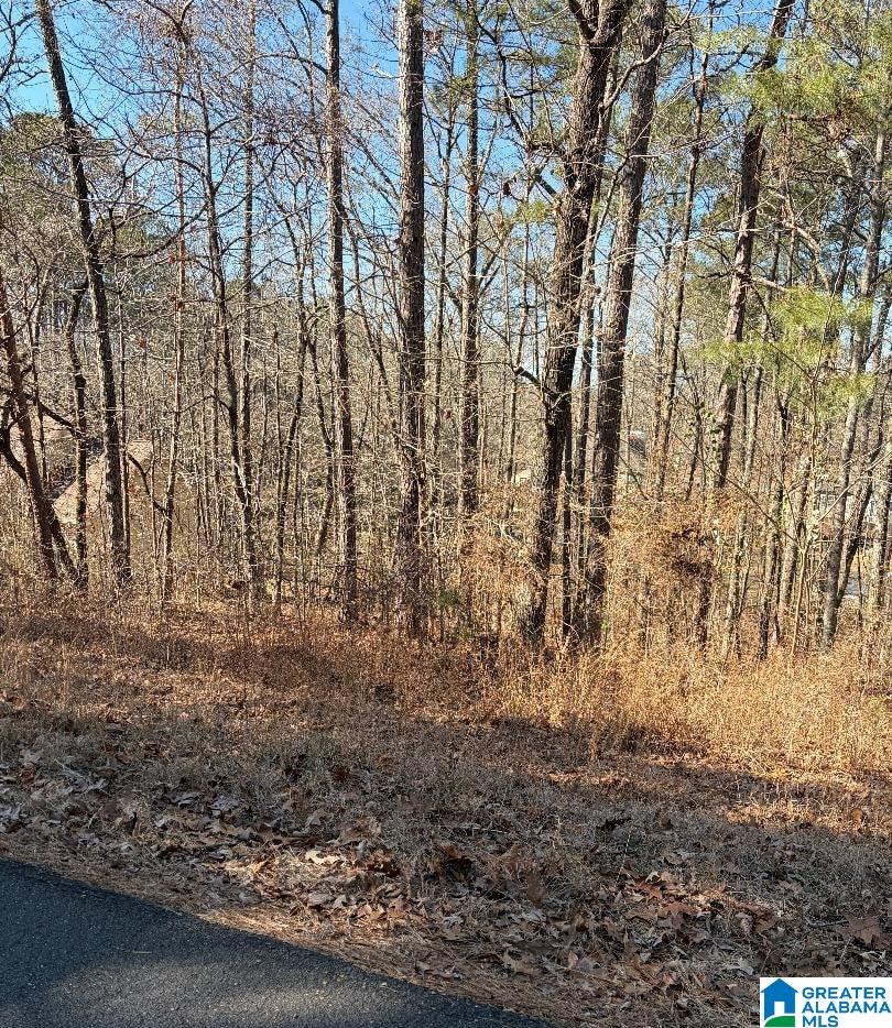 Photo 3 of Land for sale at Delmar Dr, Mccalla, AL 35111 | MLS# 21442447 | Listing updated on 2026-02-02