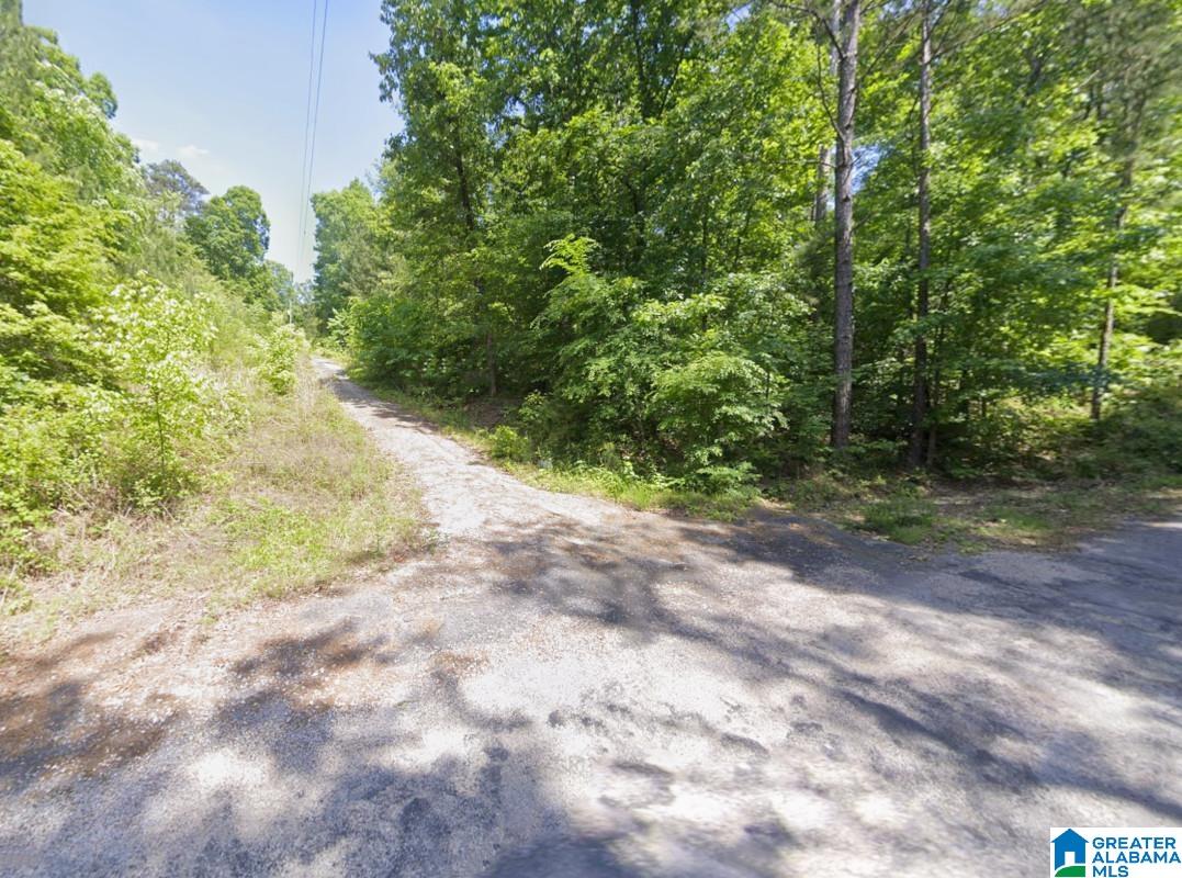 Homes for sale in Springville, AL | 130 Evergreen Dr, Springville, AL 35146 | MLS# 21442453