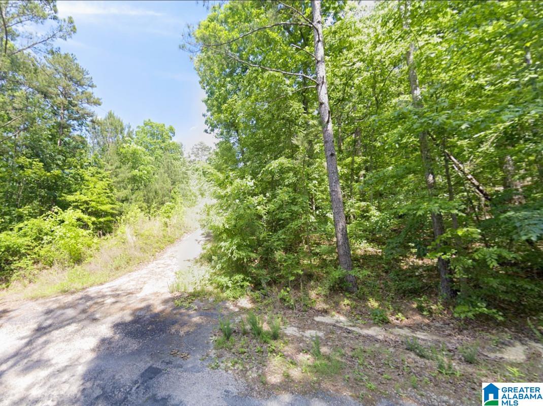 Homes for sale in Springville, AL | 130 Evergreen Dr, Springville, AL 35146 | MLS# 21442453