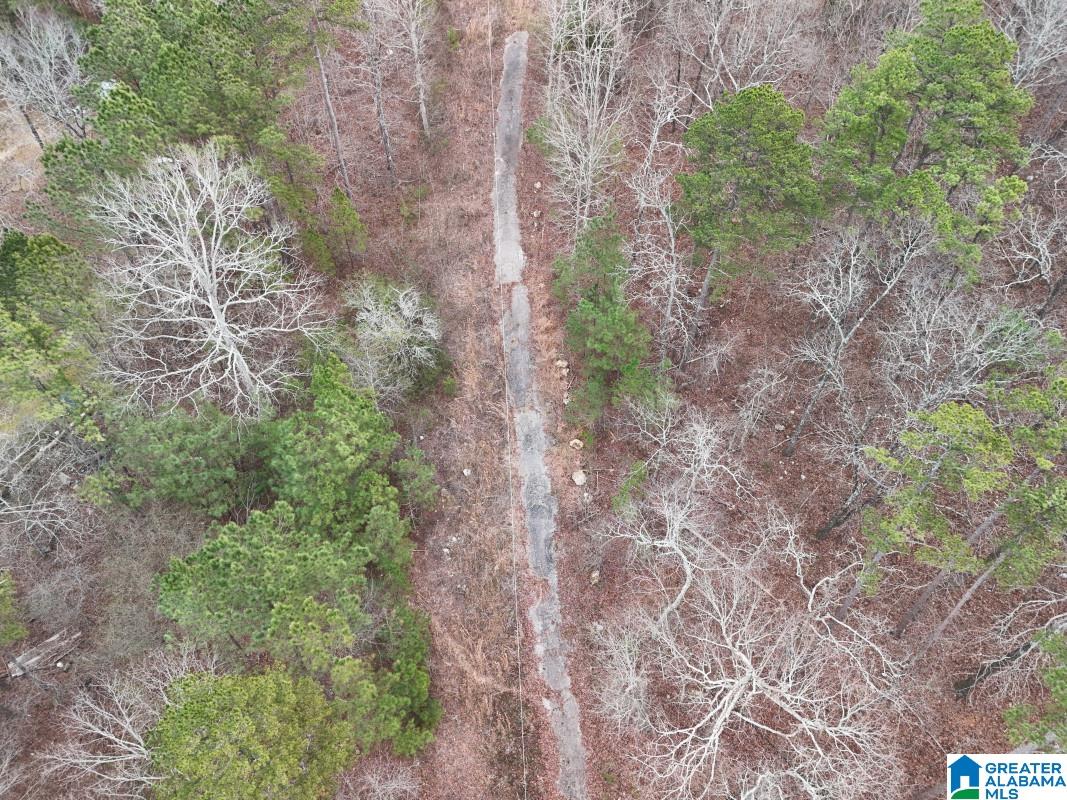 Homes for sale in Springville, AL | 130 Evergreen Dr, Springville, AL 35146 | MLS# 21442453