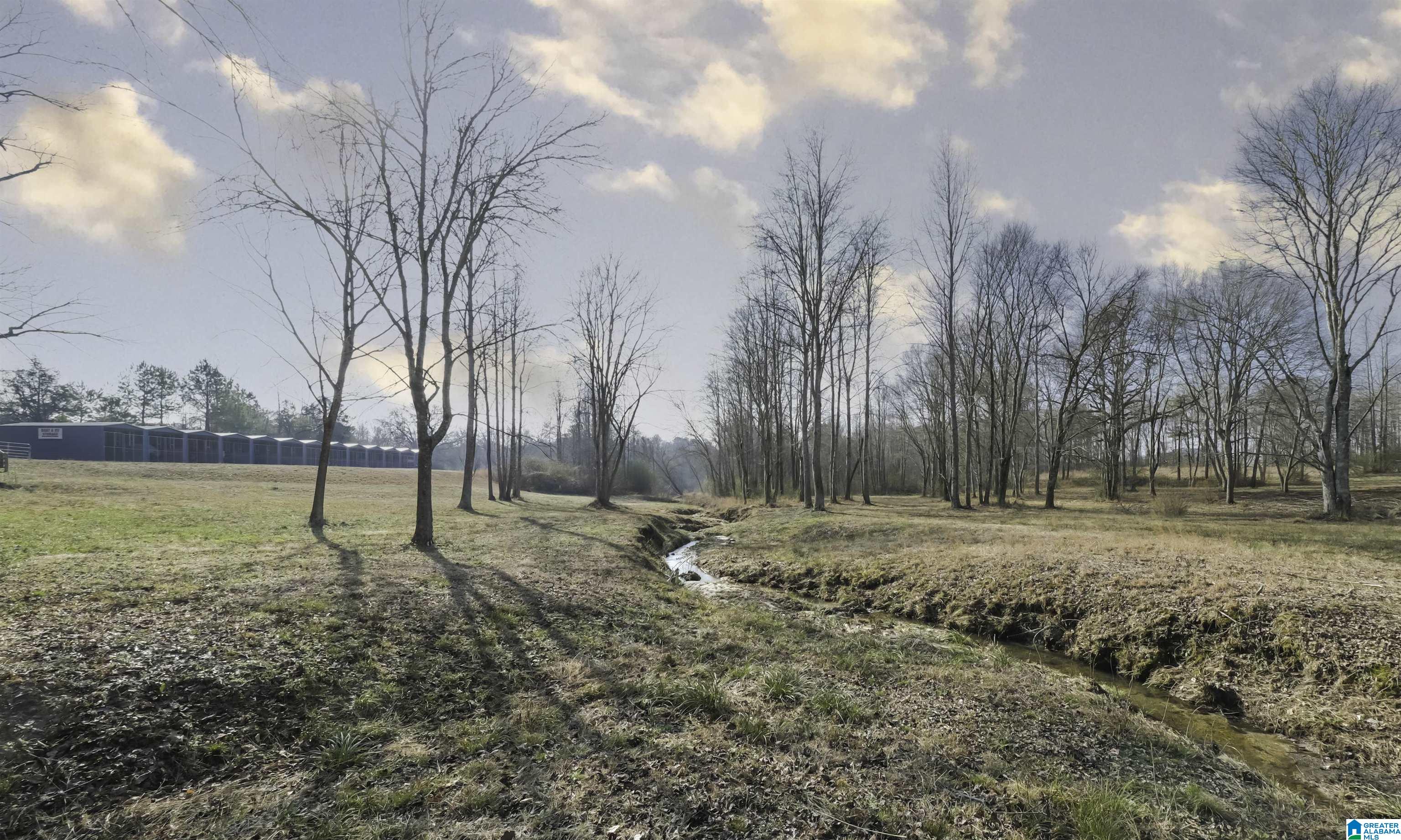 Homes for sale in Lineville, AL | 4970 Blakes Ferry Road, Lineville, AL 36266 | MLS# 21442469