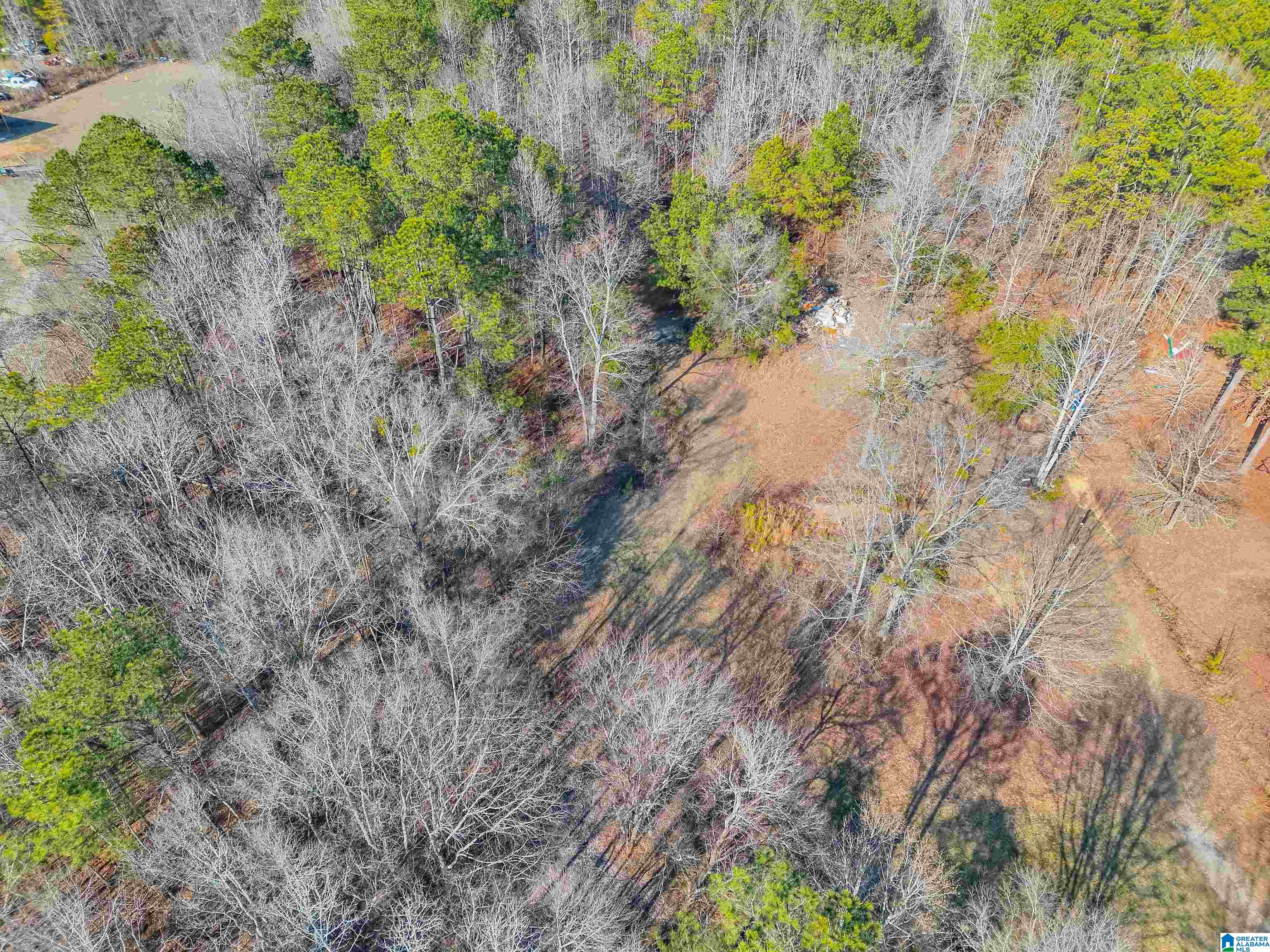 Homes for sale in Clanton, AL | 40 County Road 566, Clanton, AL 35046 | MLS# 21442479