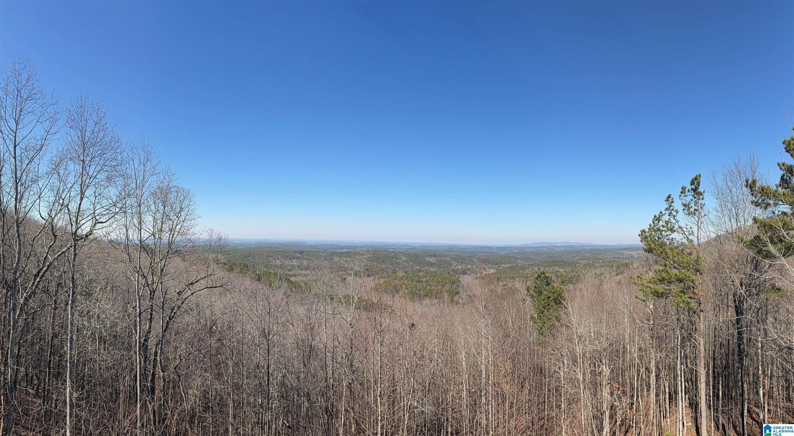 Homes for sale in Lineville, AL | 1190 Skyway Dr, Lineville, AL 36266 | MLS# 21442493