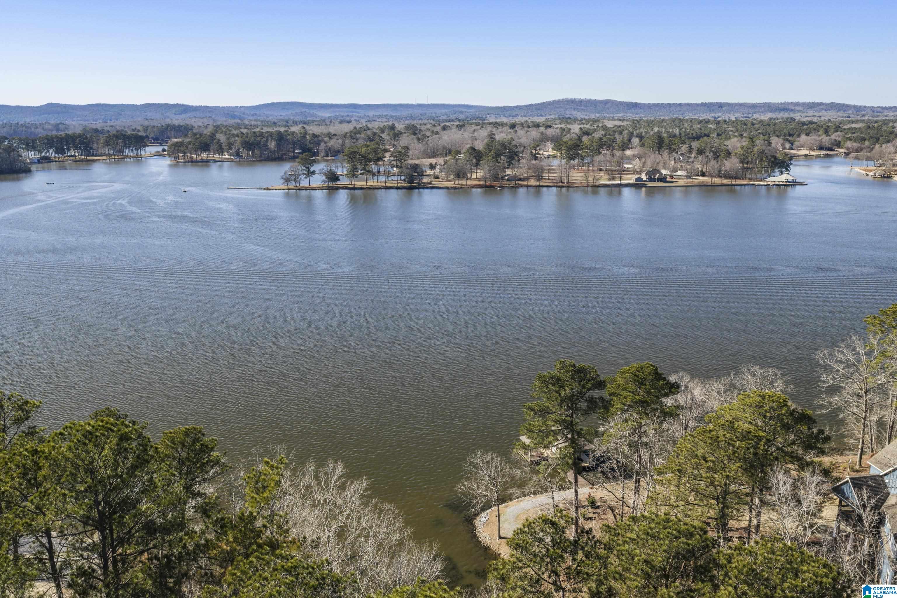 Homes for sale in Sylacauga, AL | Shore Side Lane, Sylacauga, AL 35151 | MLS# 21442505