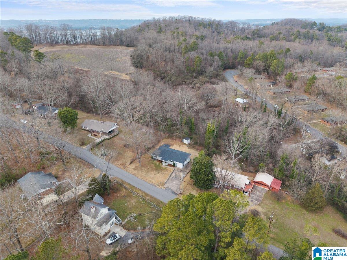 Homes for sale in Guntersville, AL | 2012 Crawford Street, Guntersville, AL 35976 | MLS# 21442541
