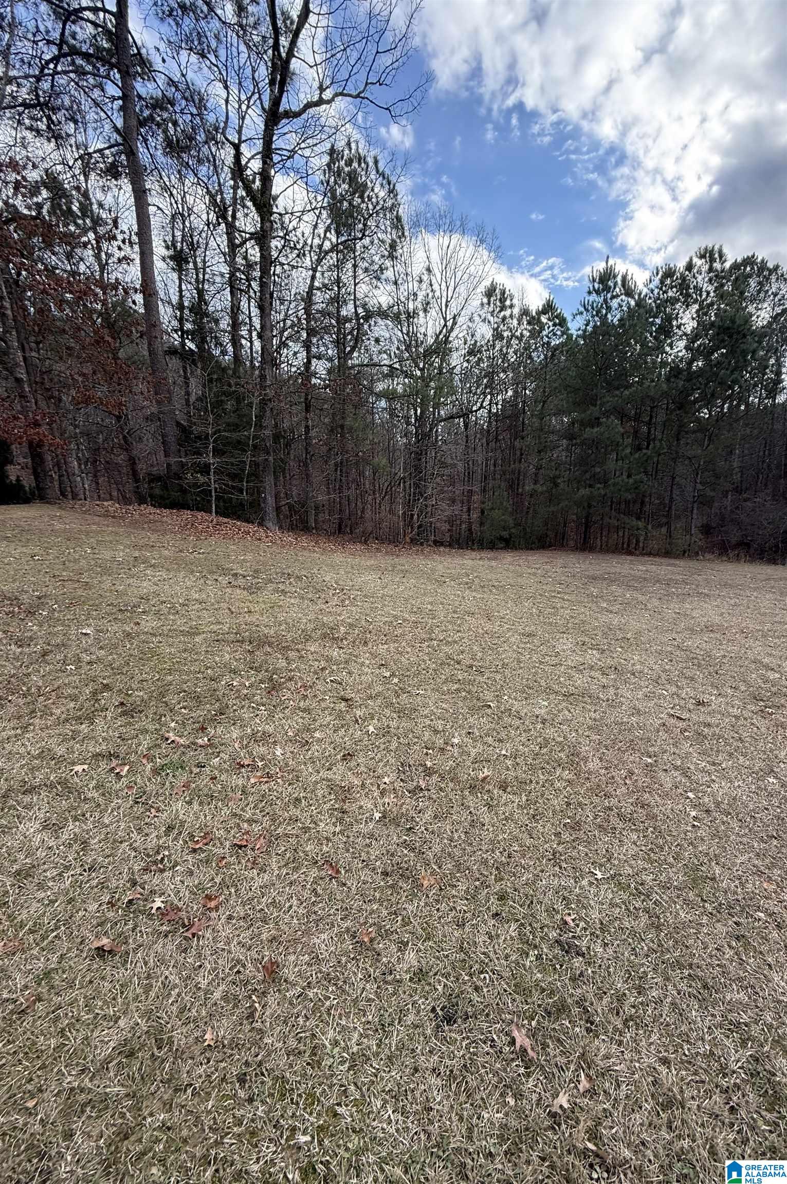 Homes for sale in Pelham, AL | 808 Ballantrae Parkway, Pelham, AL 35124 | MLS# 21442591