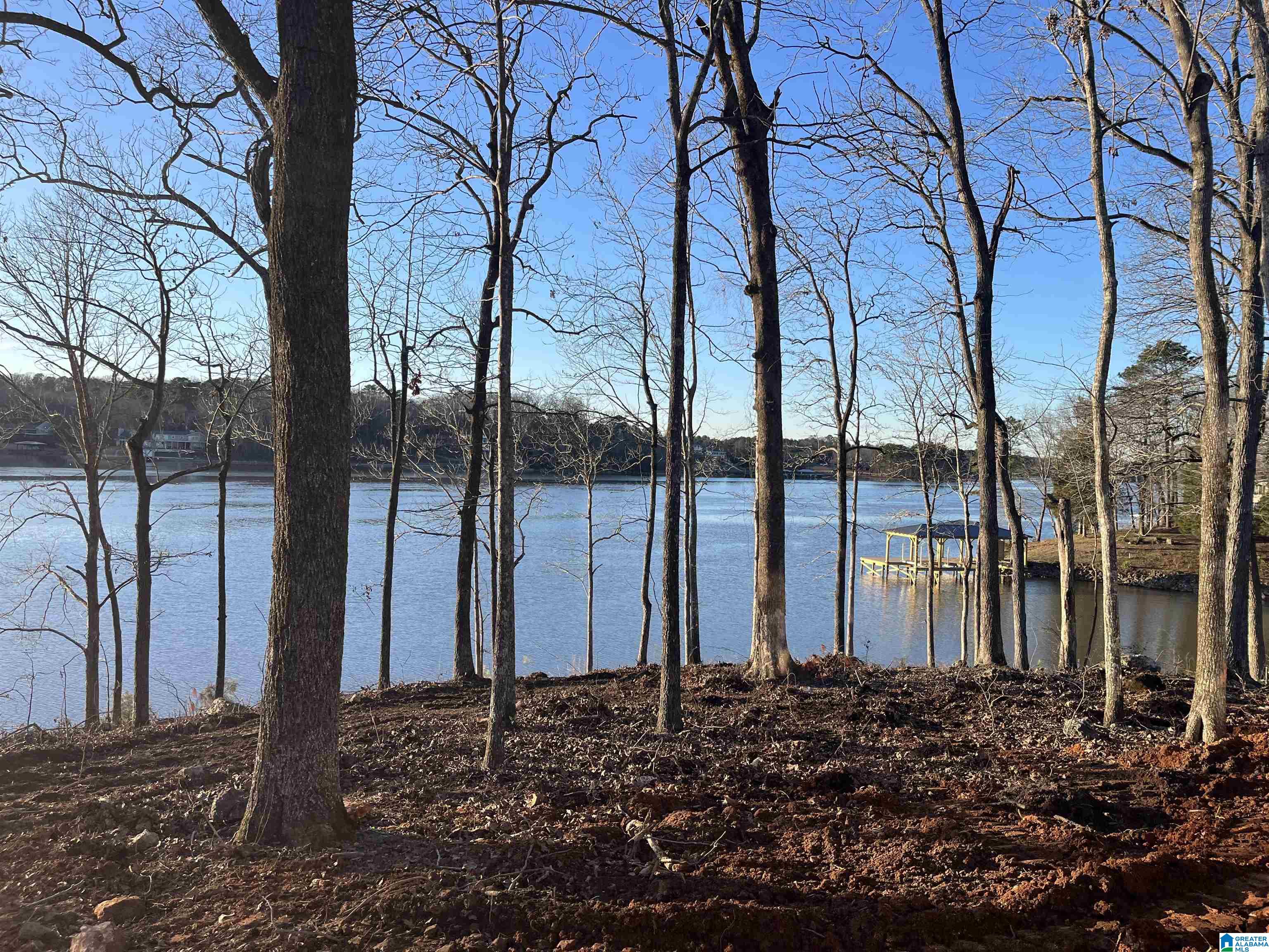 Homes for sale in Lincoln, AL | 755 Blue River Dr, Lincoln, AL 35096 | MLS# 21442608