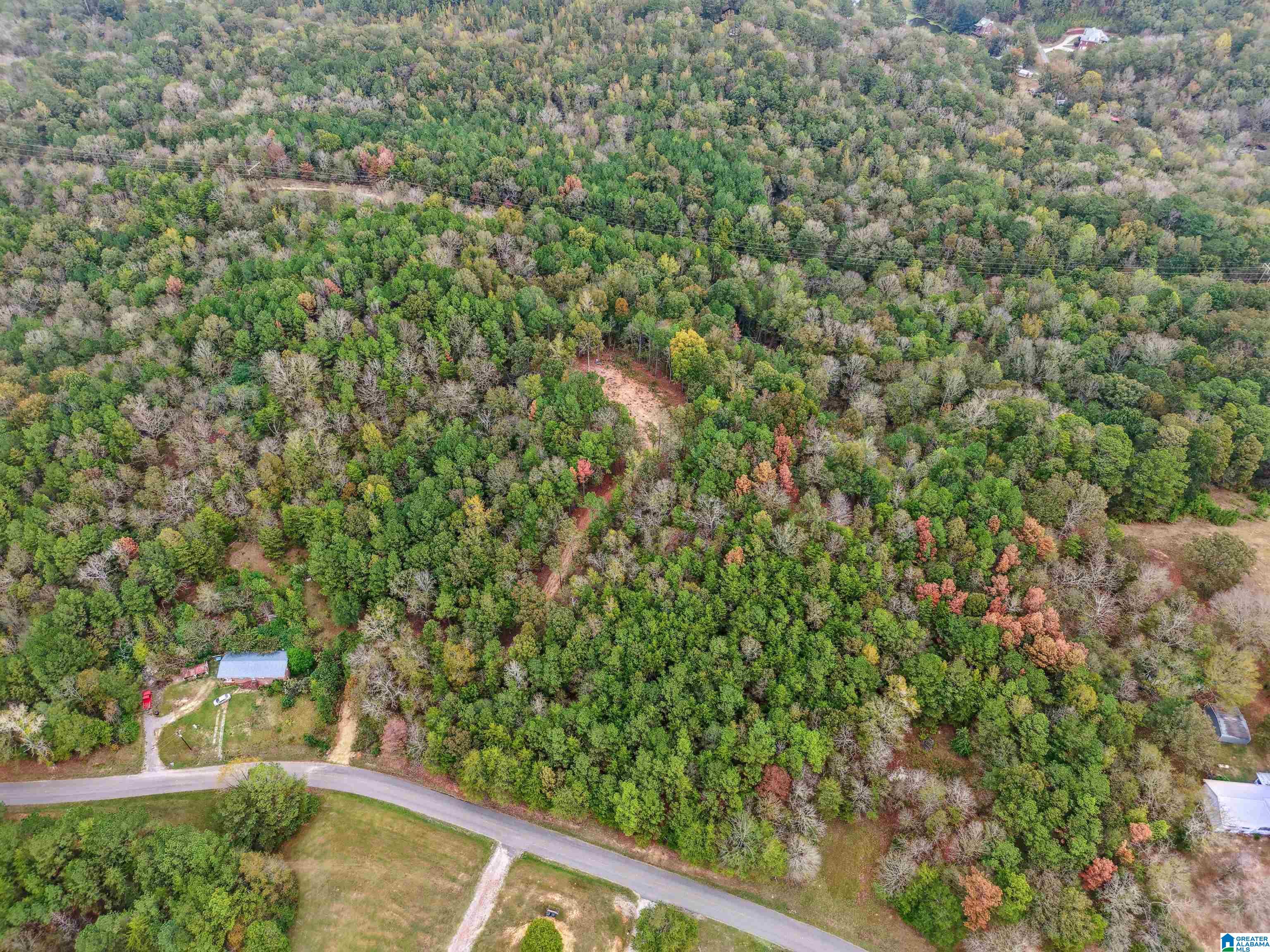 Land at 1215 Buddy Vines Camp Rd, Bessemer, AL 35023 | MLS# 21442633 |  | Sold on 2026-05-29