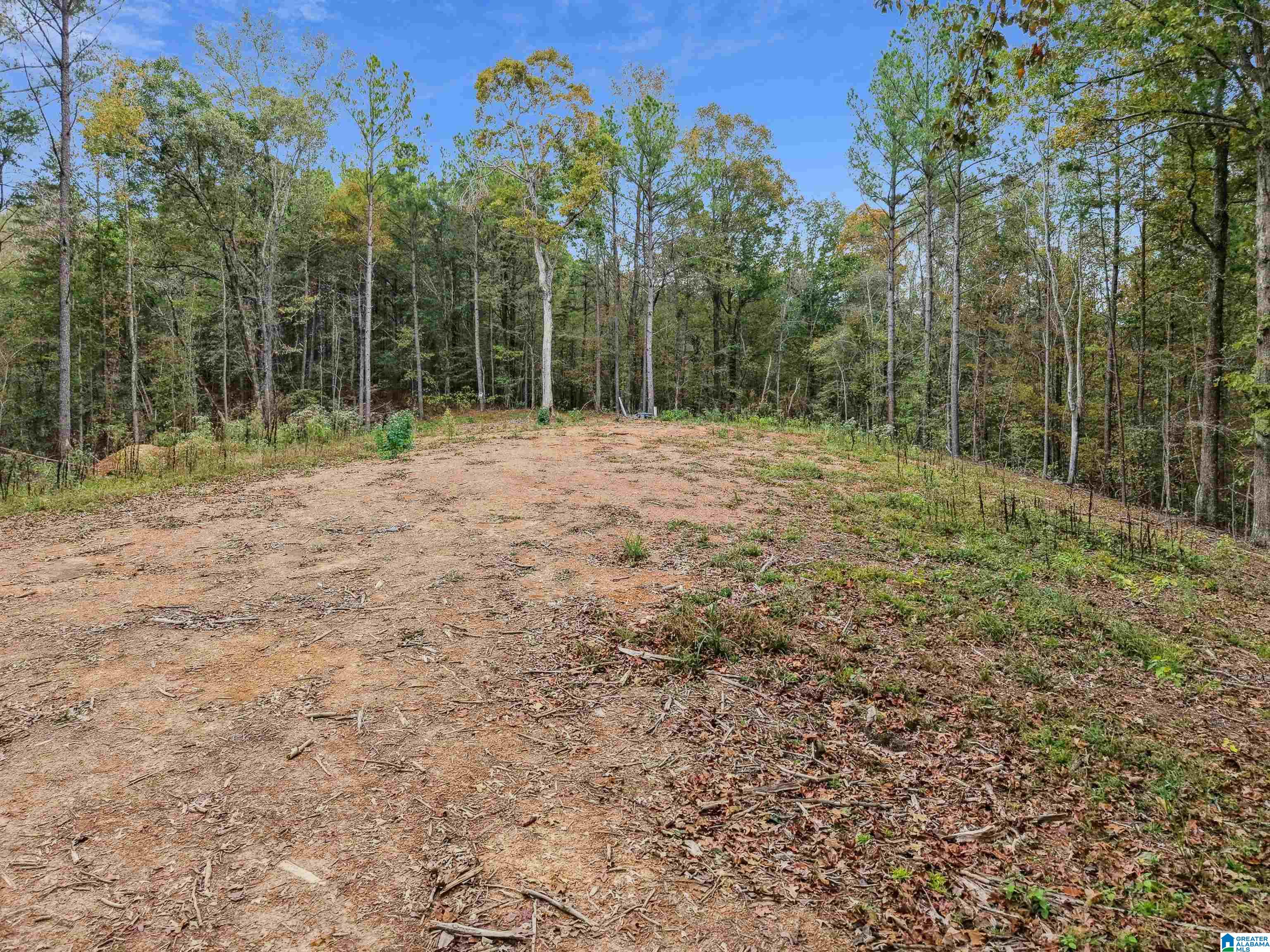 Photo 1 of Land at 1215 Buddy Vines Camp Rd, Bessemer, AL 35023 | MLS# 21442633 |  | Sold on 2026-05-29