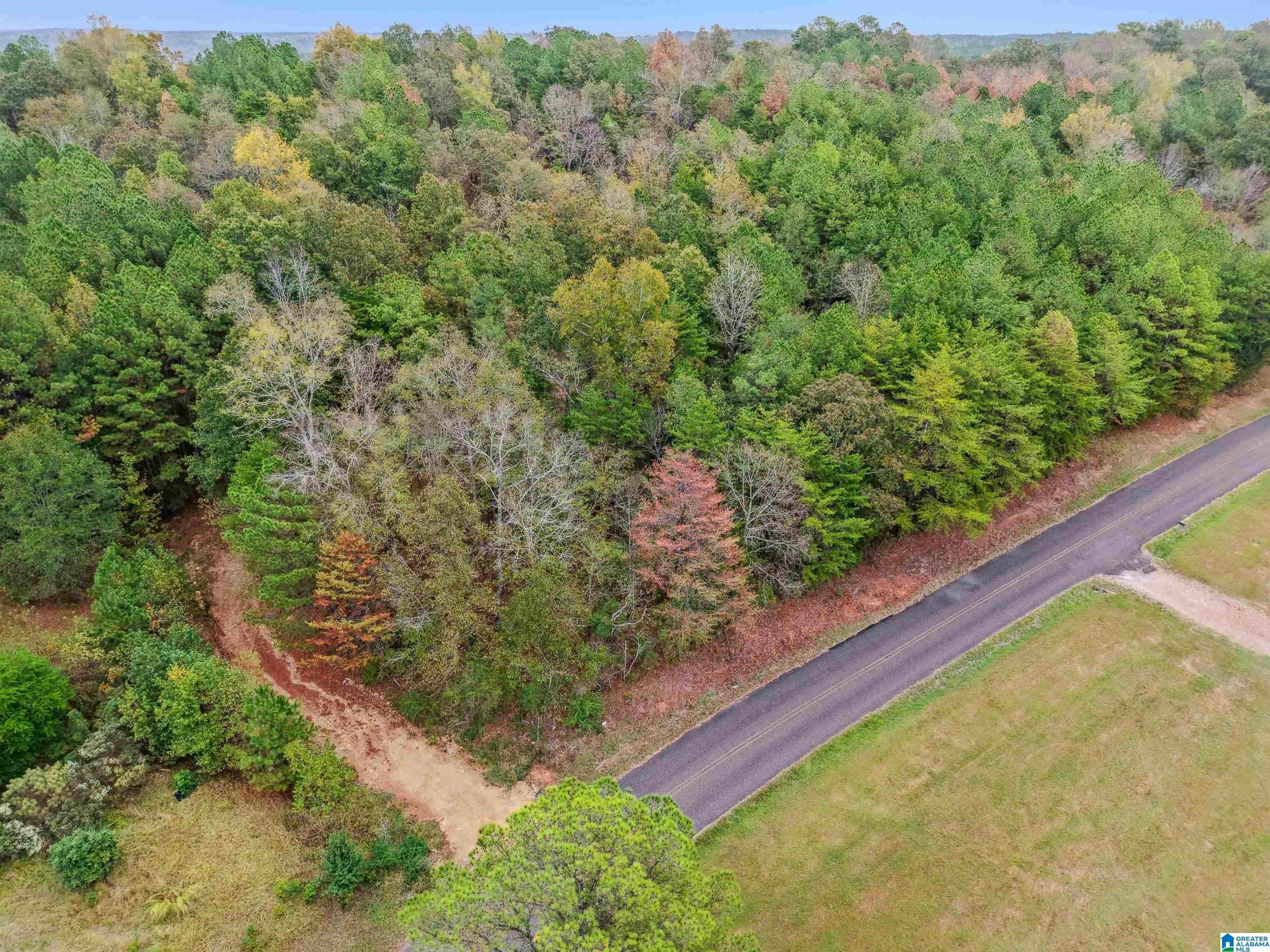 Photo 4 of Land at 1215 Buddy Vines Camp Rd, Bessemer, AL 35023 | MLS# 21442633 |  | Sold on 2026-05-29