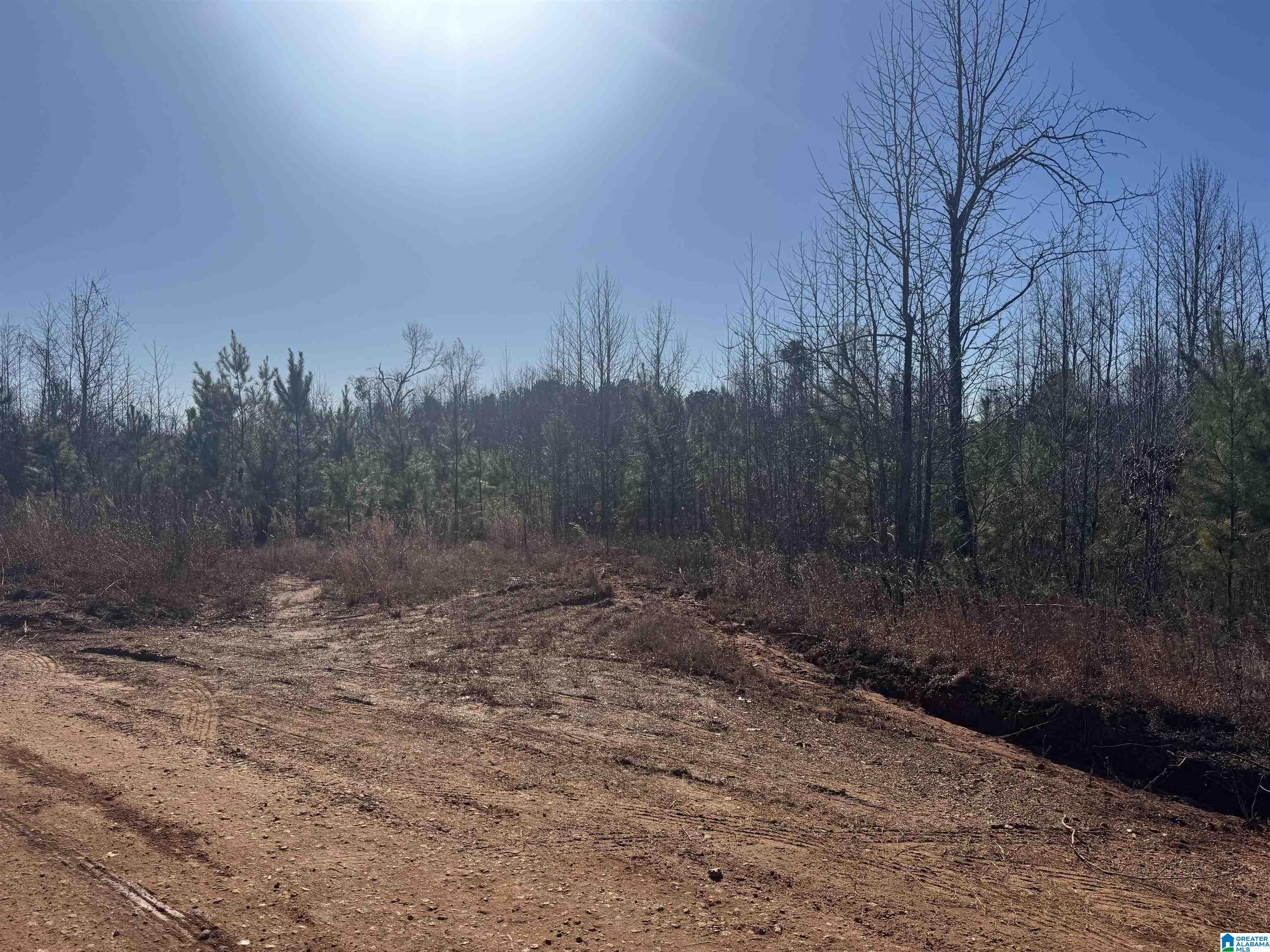 Homes for sale in Roanoke, AL | 1661 County Road 637, Roanoke, AL 36274 | MLS# 21442639