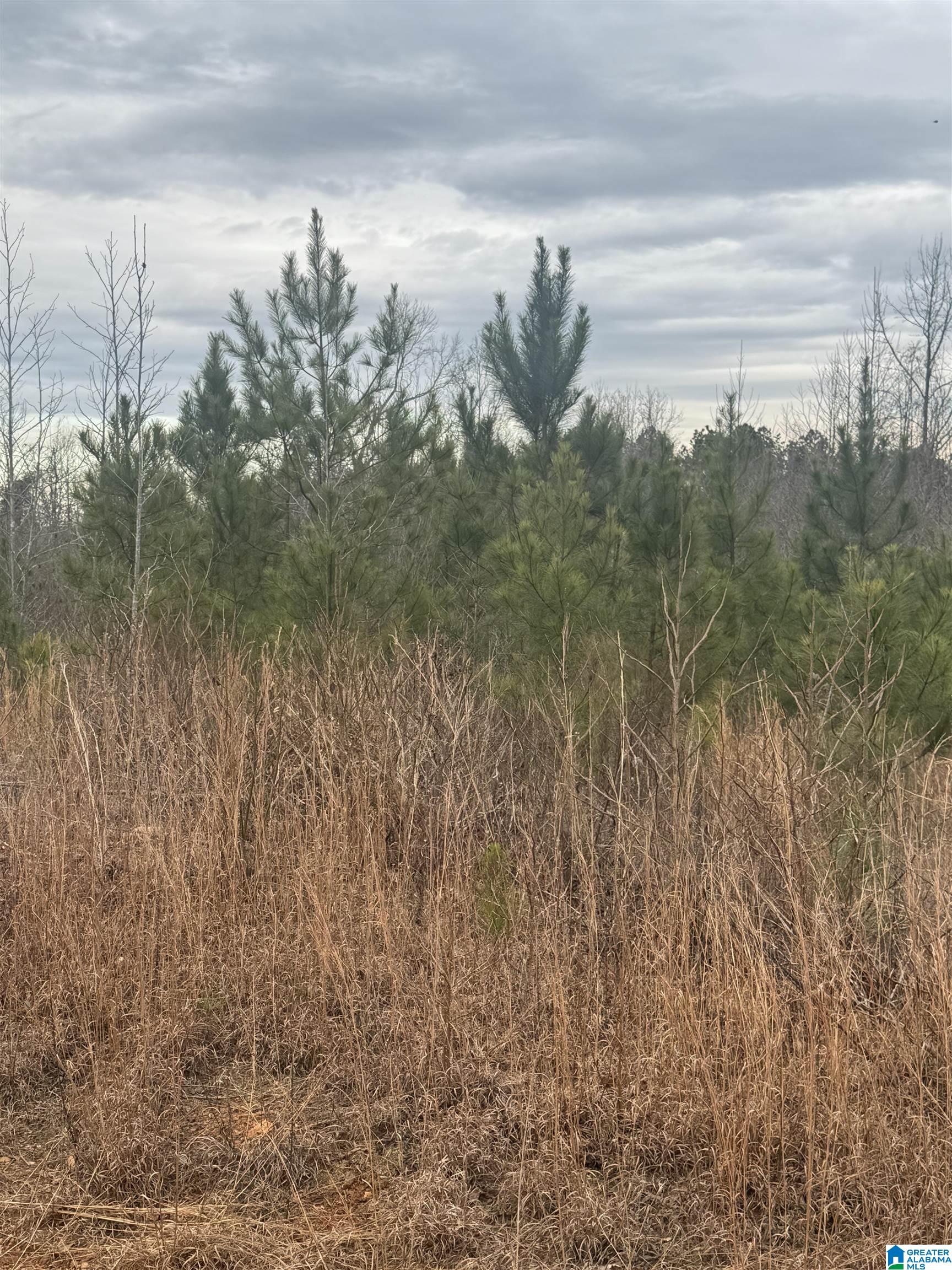 Homes for sale in Roanoke, AL | 1661 County Road 637, Roanoke, AL 36274 | MLS# 21442639