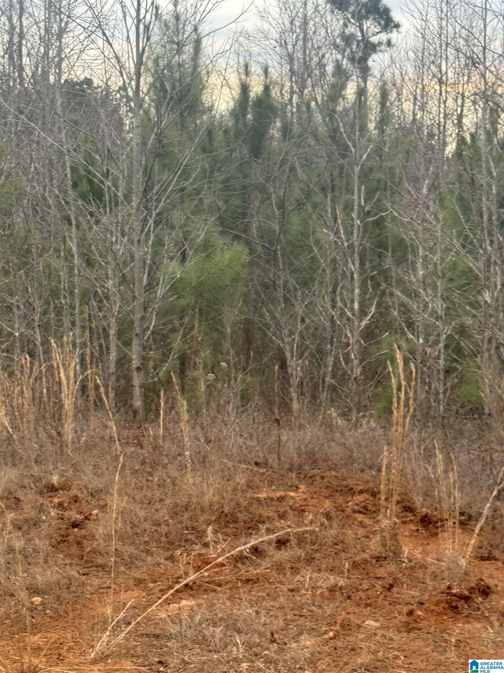 Homes for sale in Roanoke, AL | 1661 County Road 637, Roanoke, AL 36274 | MLS# 21442639