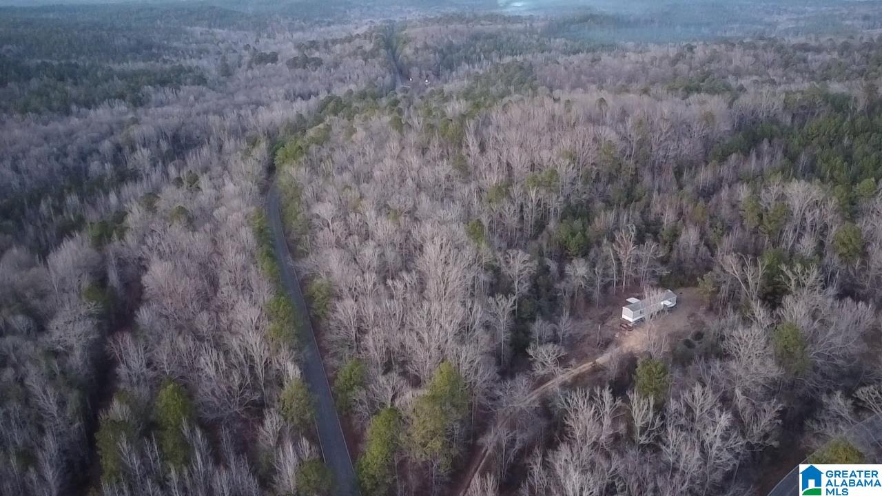 Homes for sale in Brent, AL | County Road 1, Brent, AL 35042 | MLS# 21442644