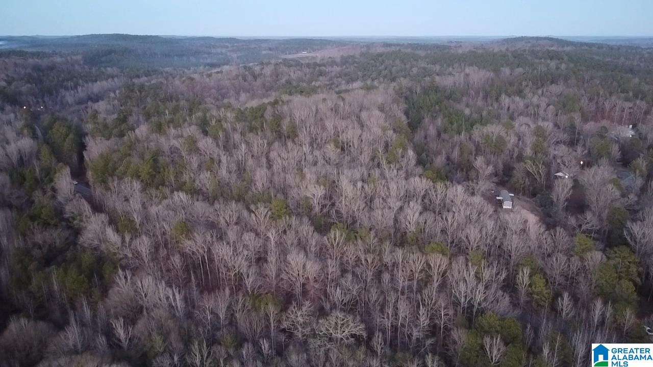 Homes for sale in Brent, AL | County Road 1, Brent, AL 35042 | MLS# 21442644